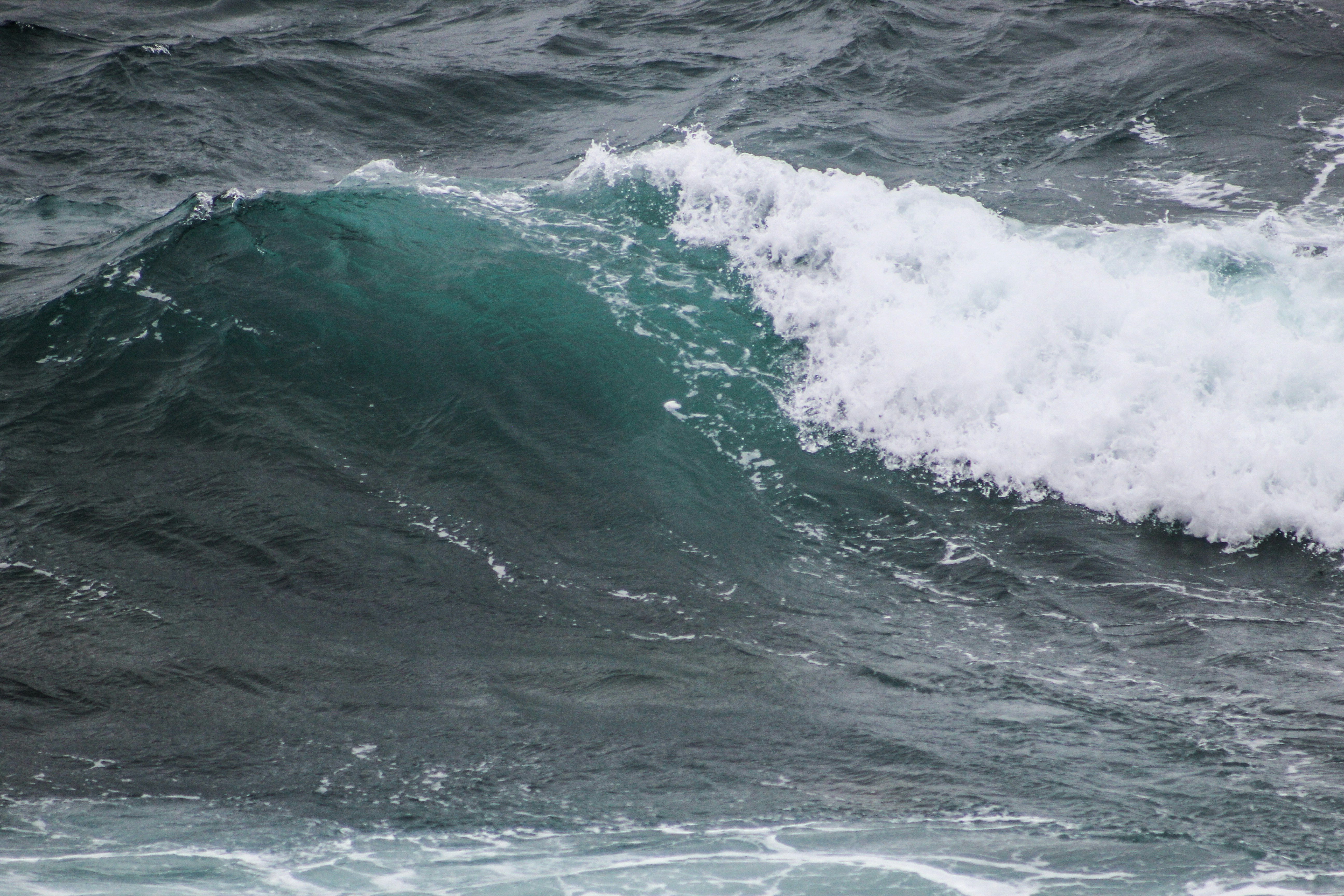 Photo by focalinsight