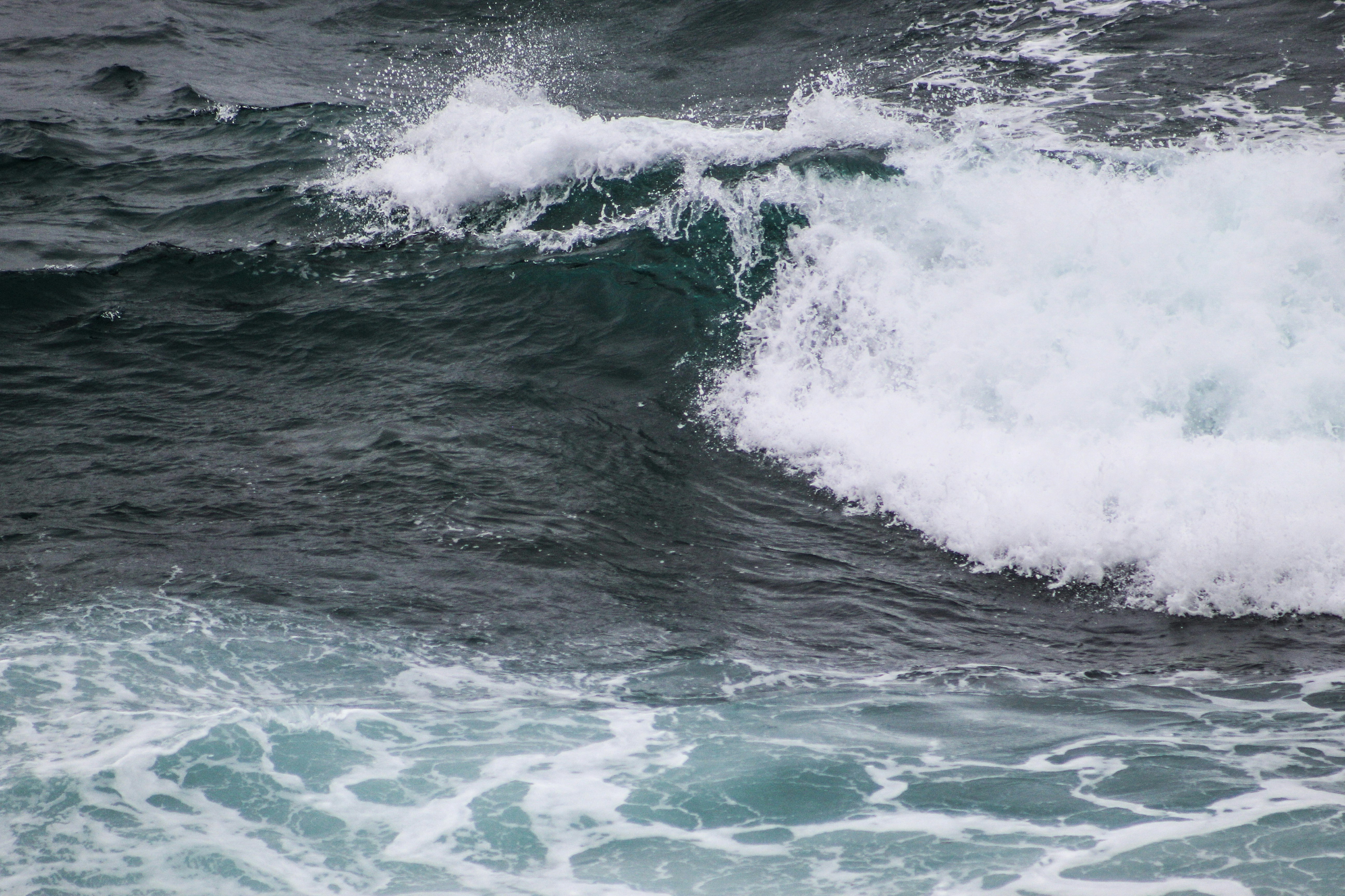 Photo by focalinsight