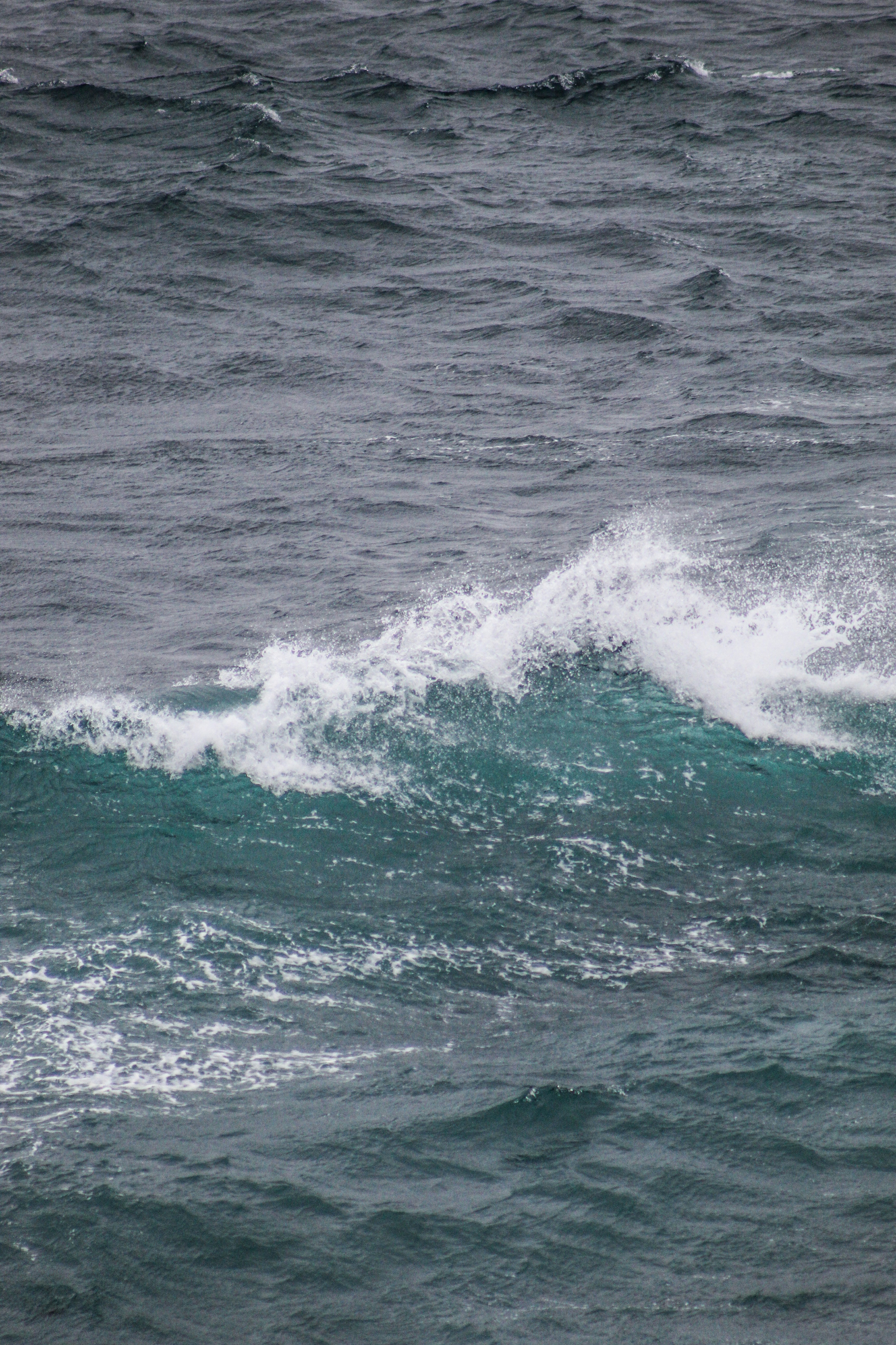 Photo by focalinsight