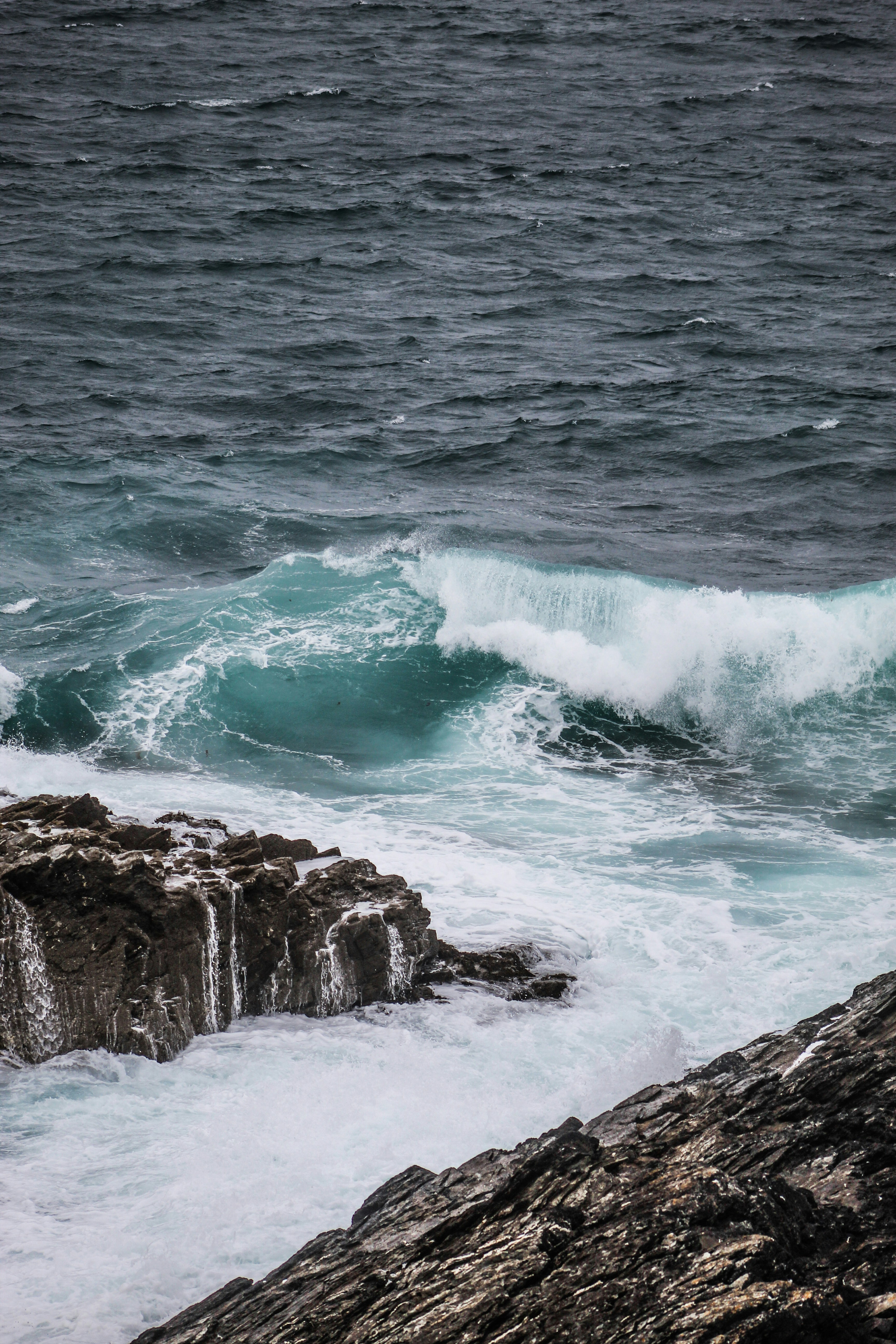 Photo by focalinsight