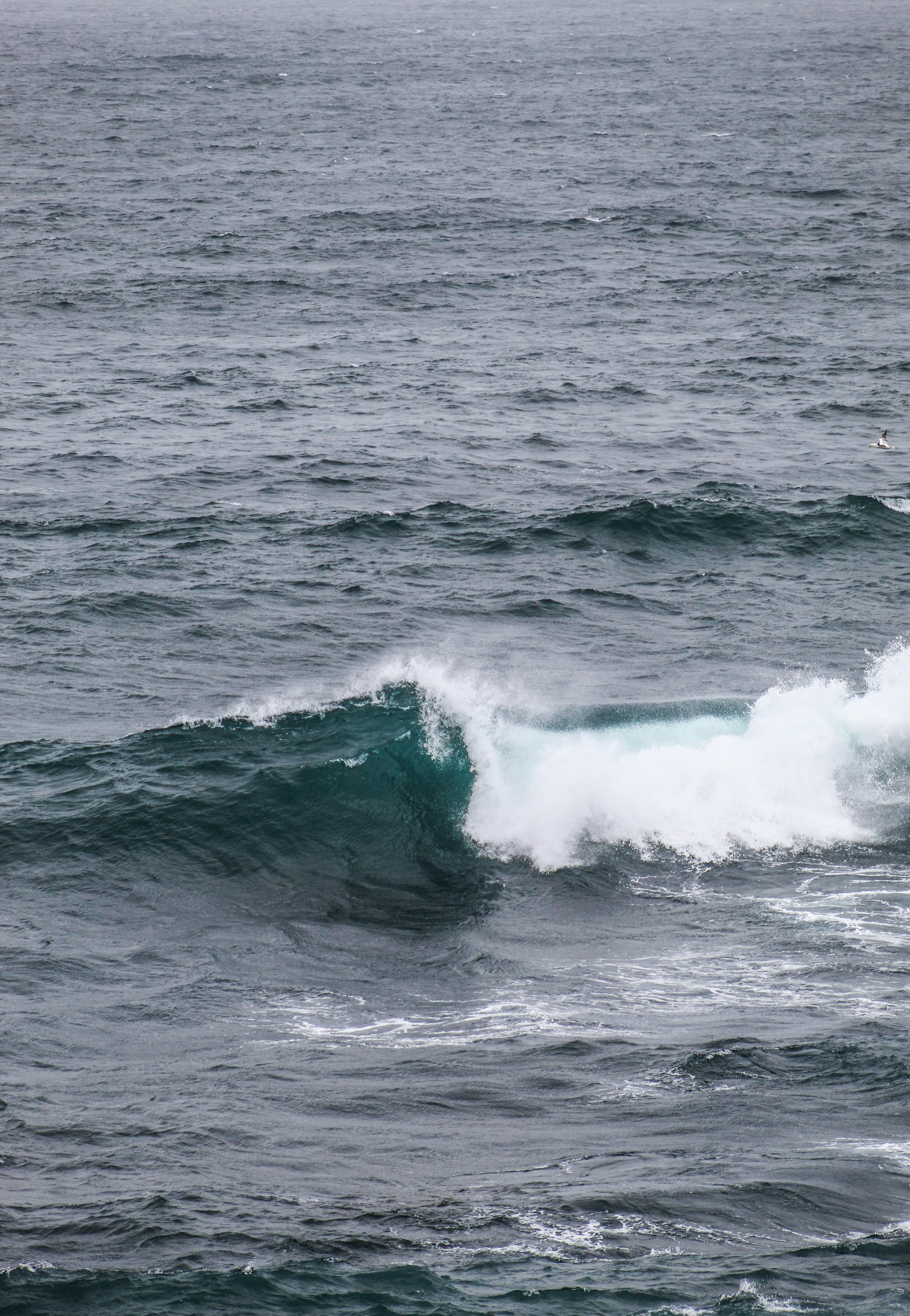 Photo by focalinsight