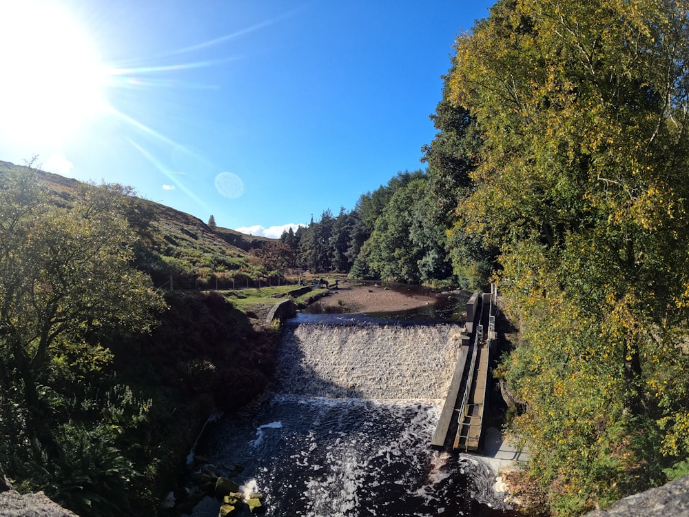 Ein Fluss, der durch einen Wald fließt