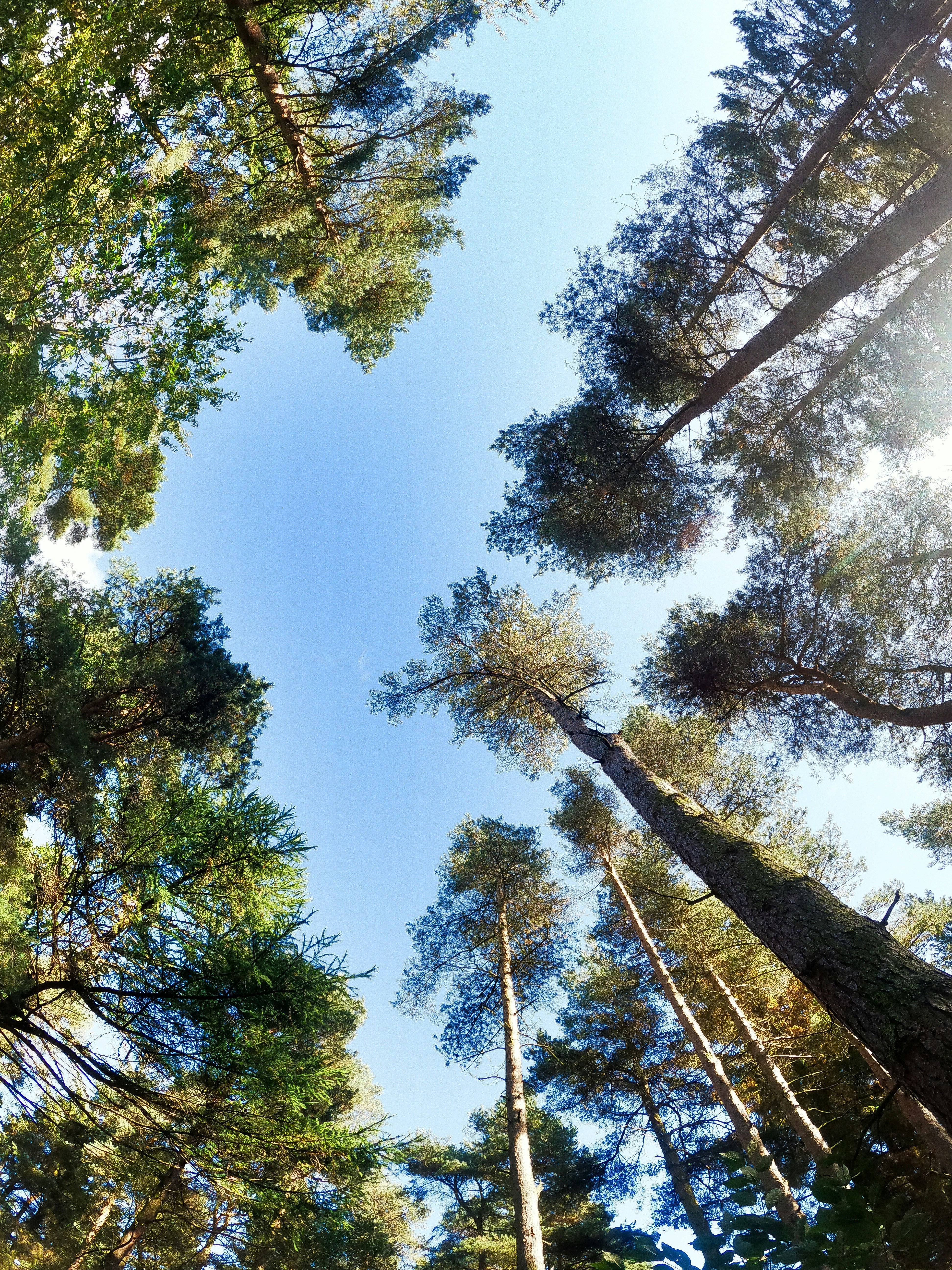 Photo by joematthewson