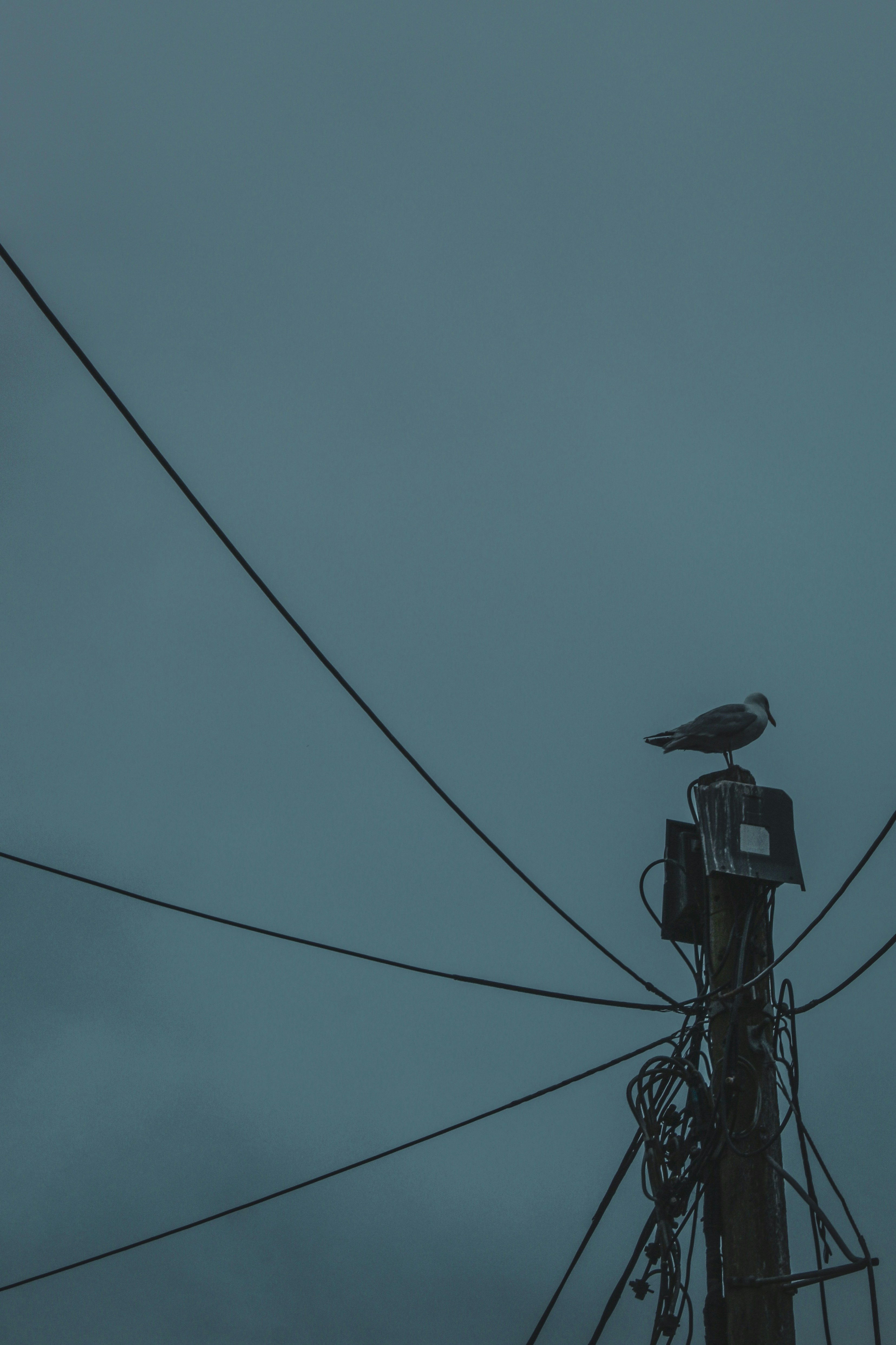 Photo by focalinsight