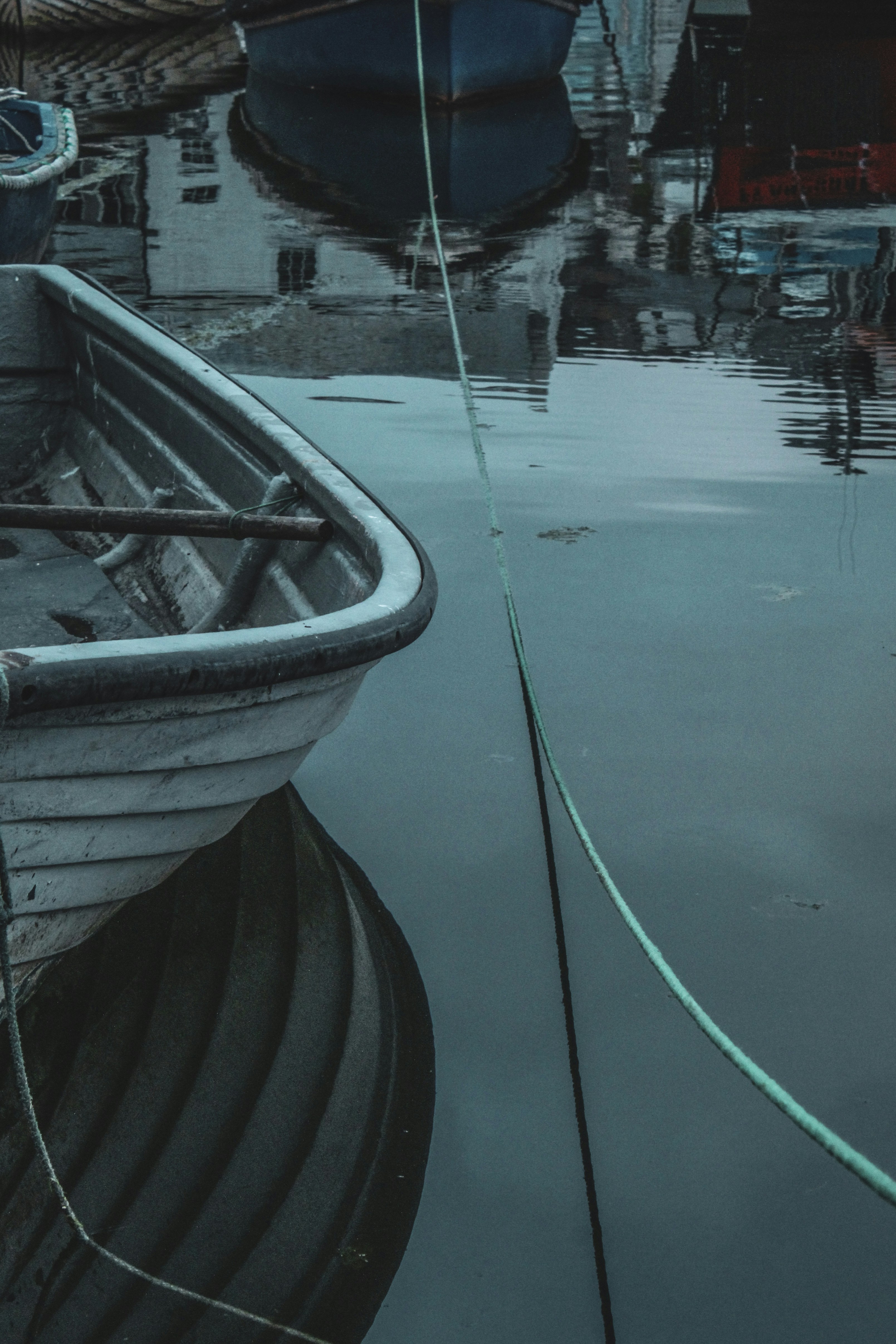 Photo by focalinsight