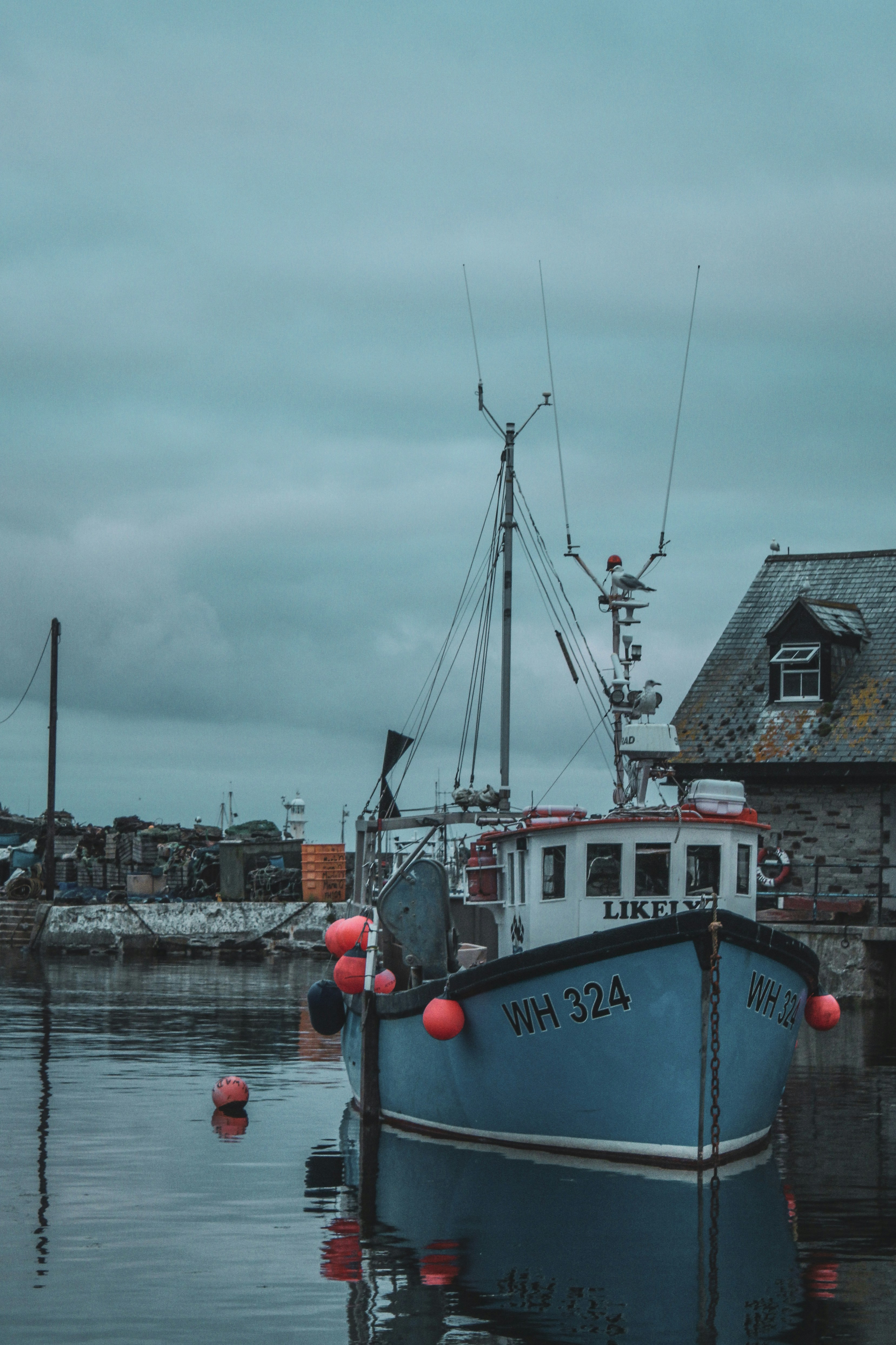 Photo by focalinsight