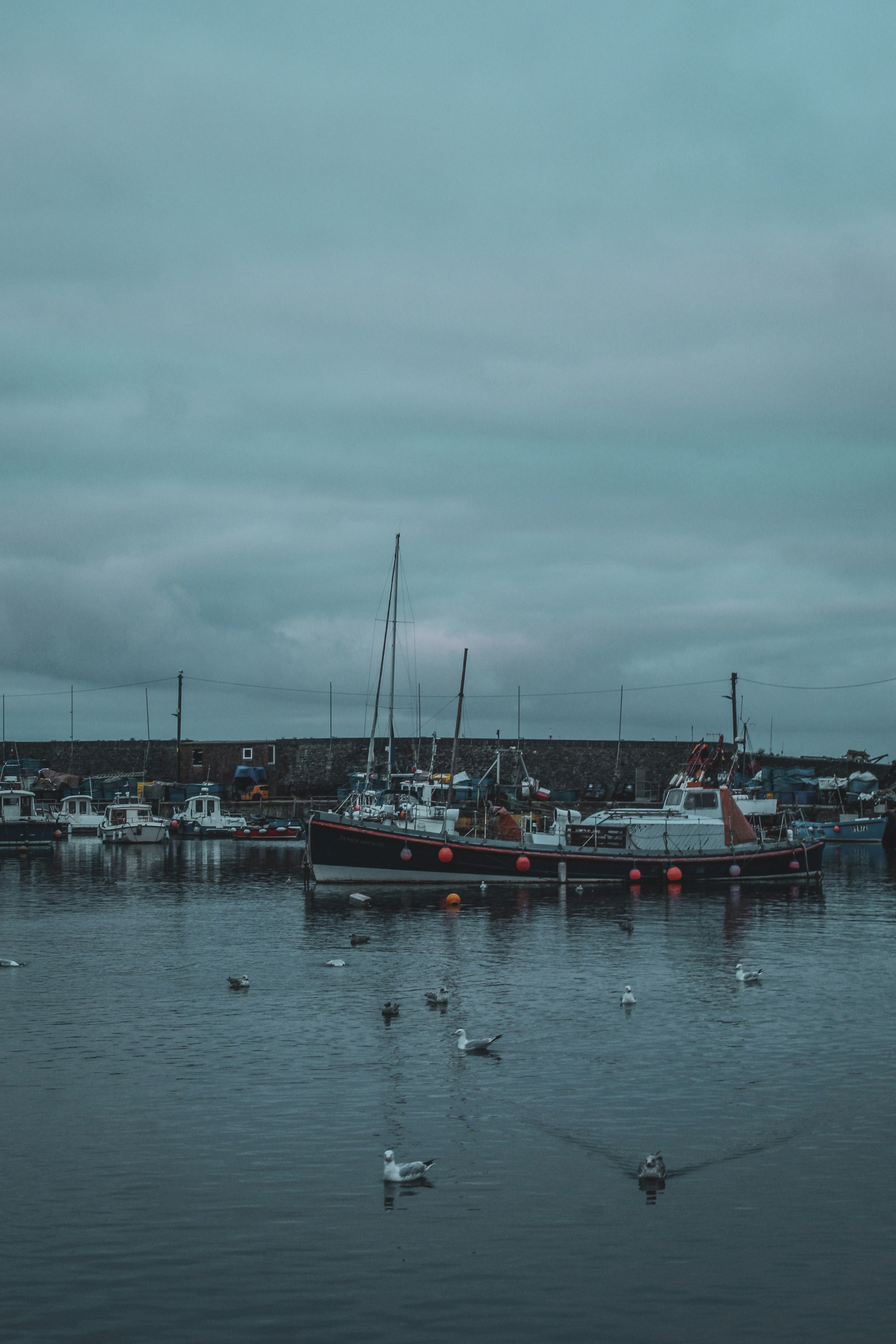 Photo by focalinsight