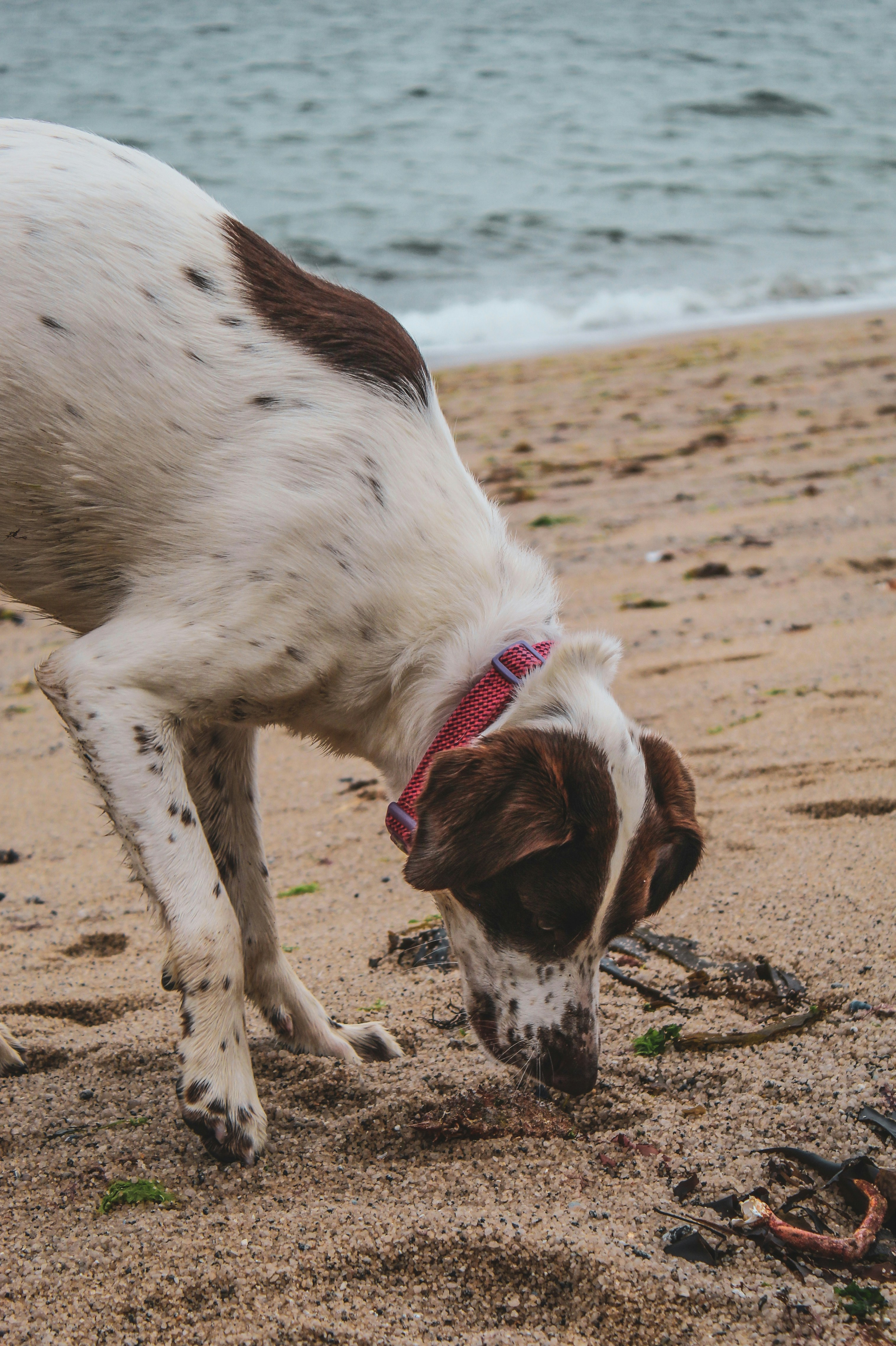 Photo by focalinsight