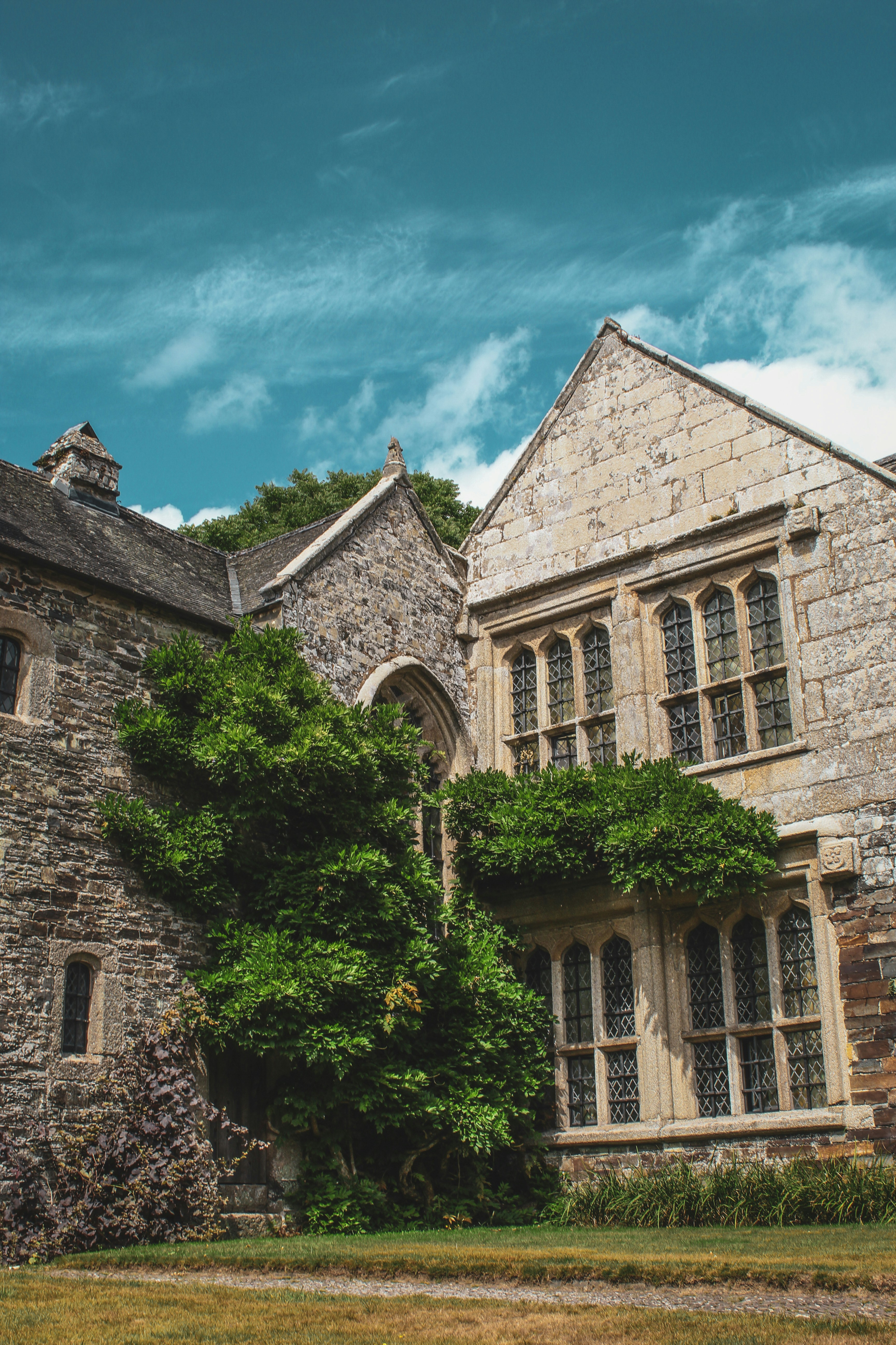 Photo by focalinsight