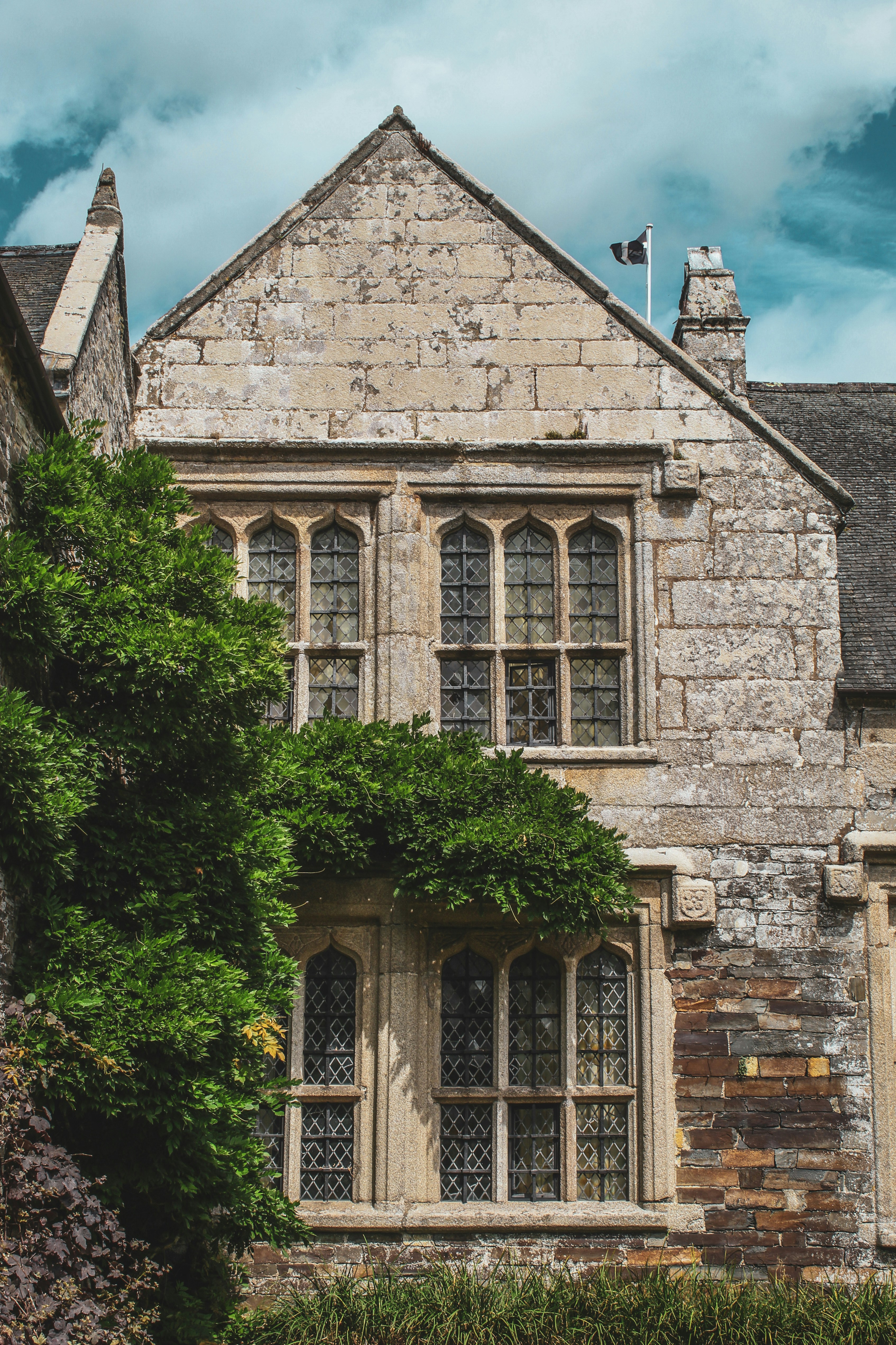 Photo by focalinsight