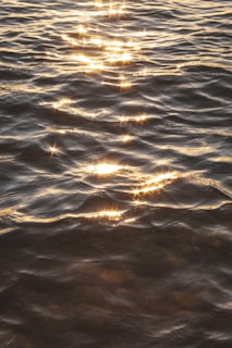 Sunlight sparkling on the river’s surface with a backdrop of distant waterfalls.