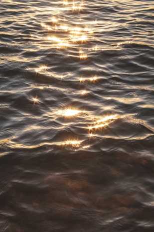Sunlight sparkling on the river’s surface with a backdrop of distant waterfalls.