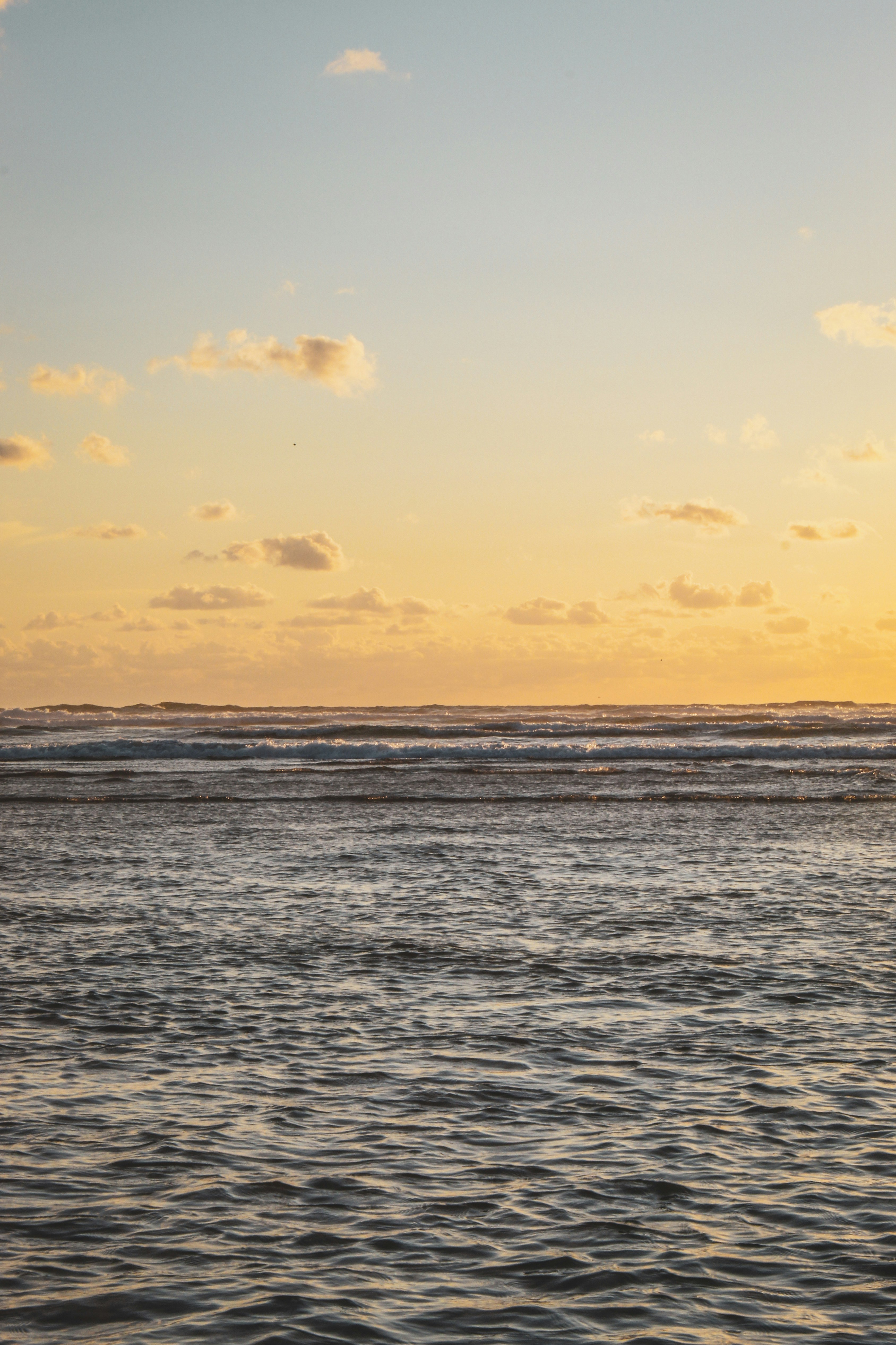 Photo by focalinsight