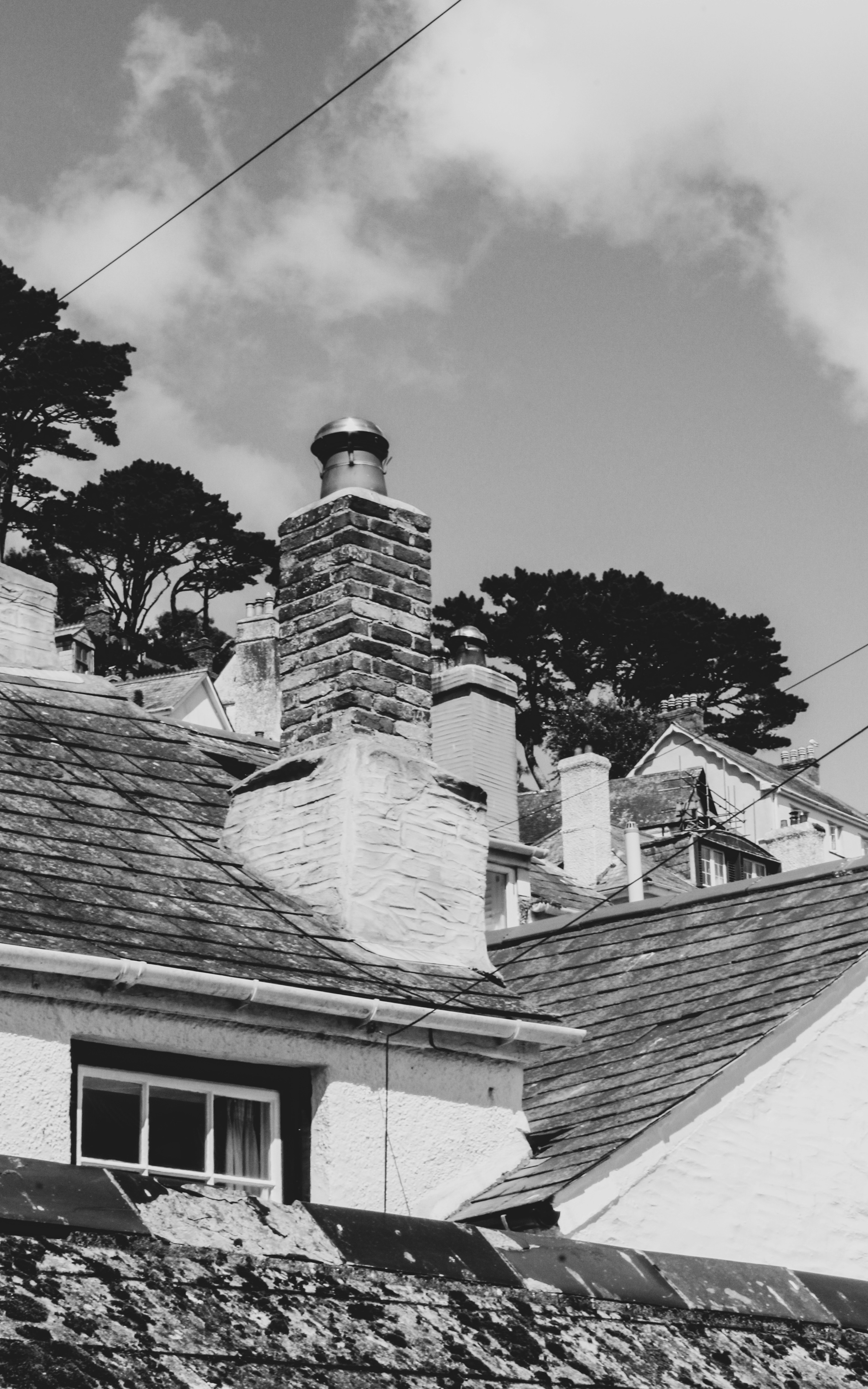 Photo by focalinsight