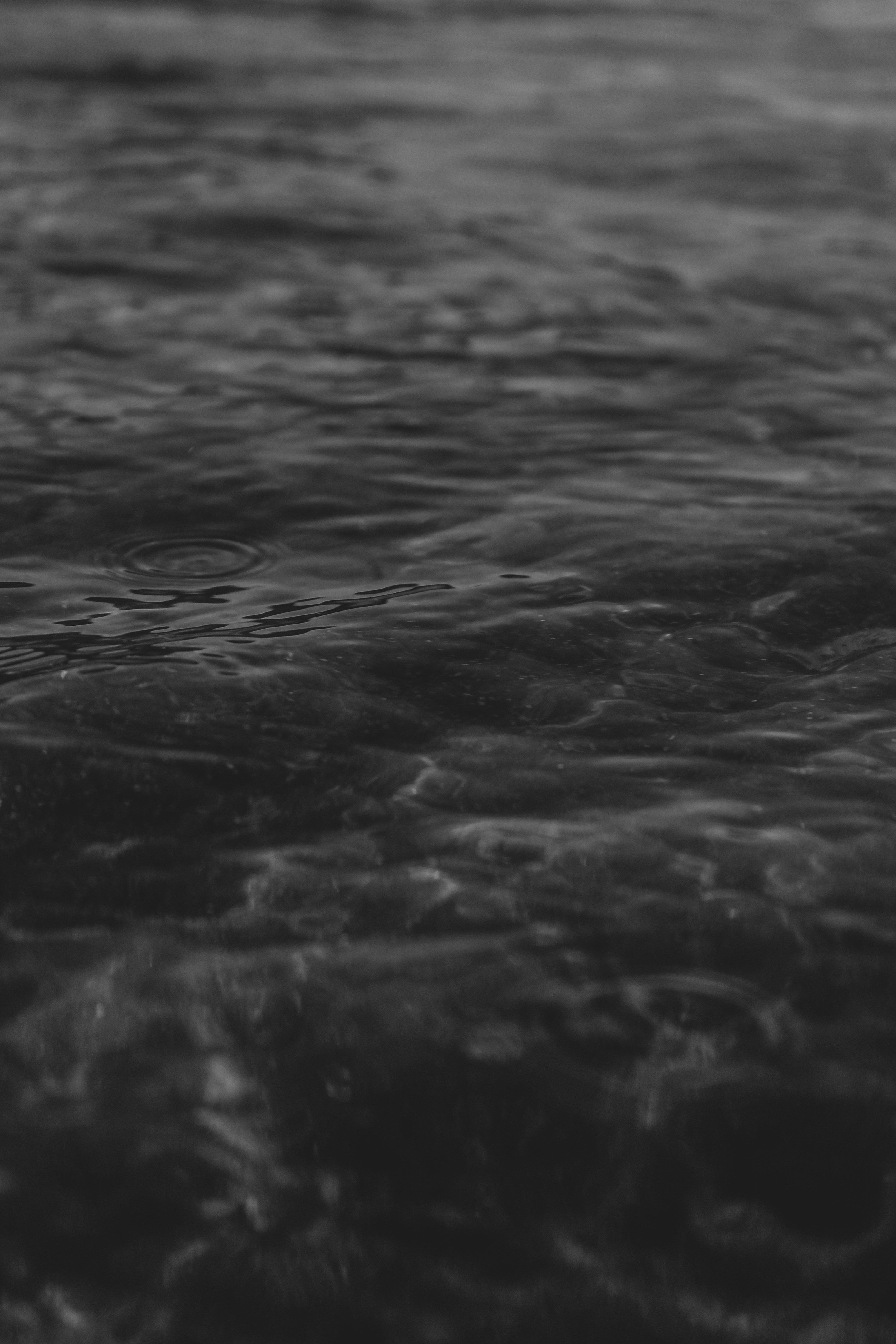 Photo by focalinsight