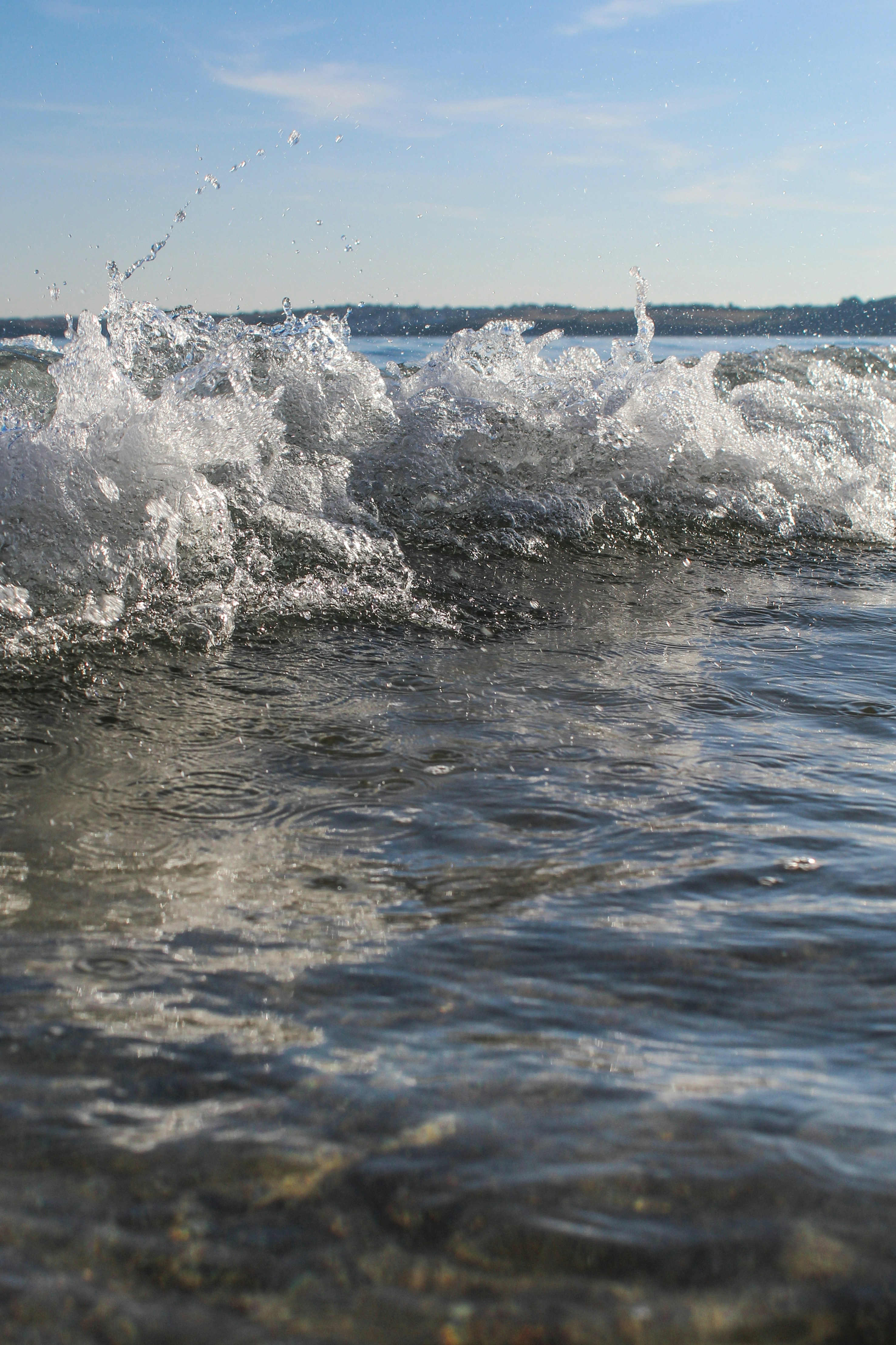 Photo by focalinsight