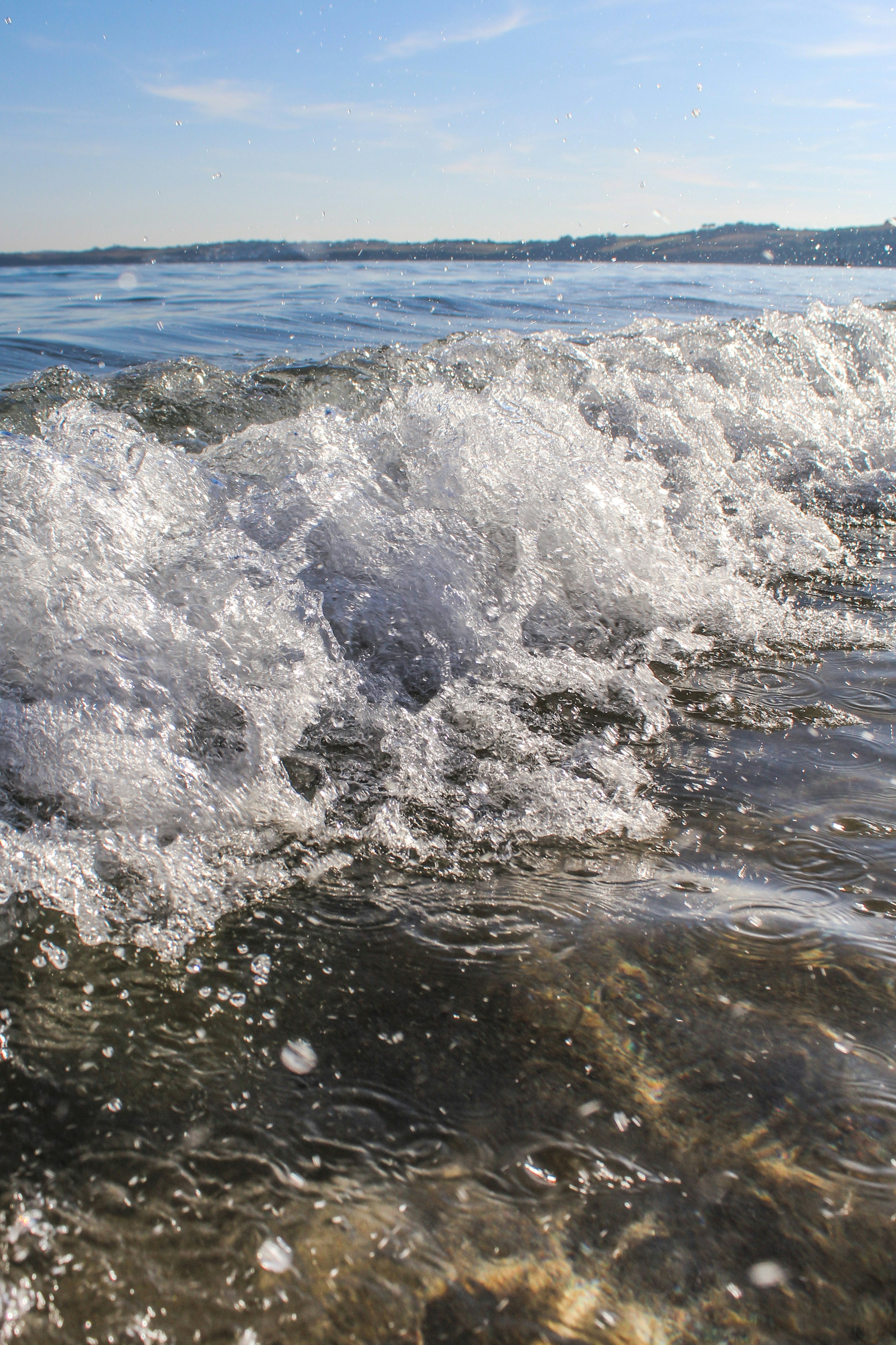 Photo by focalinsight