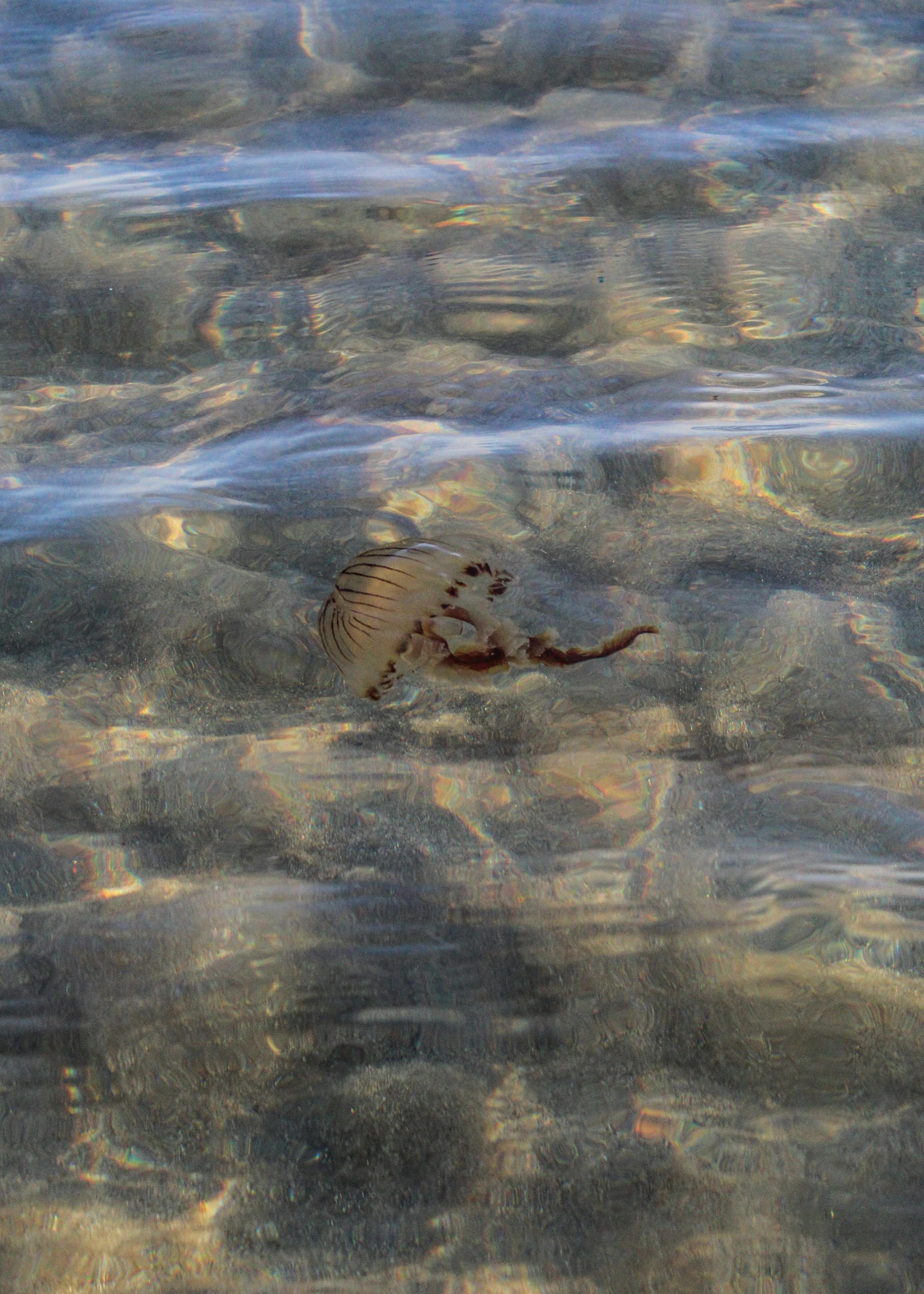 Photo by focalinsight