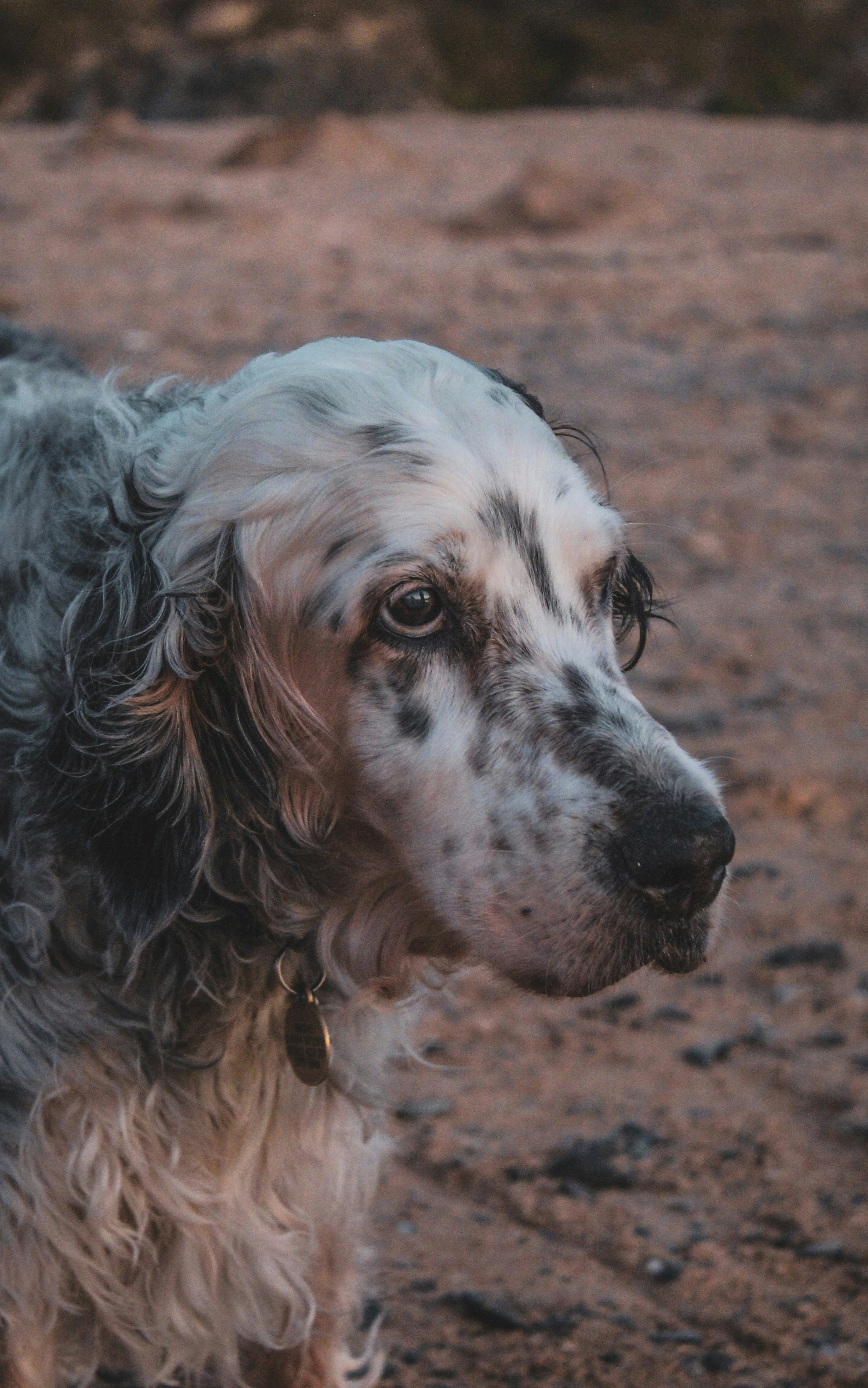 Photo by focalinsight