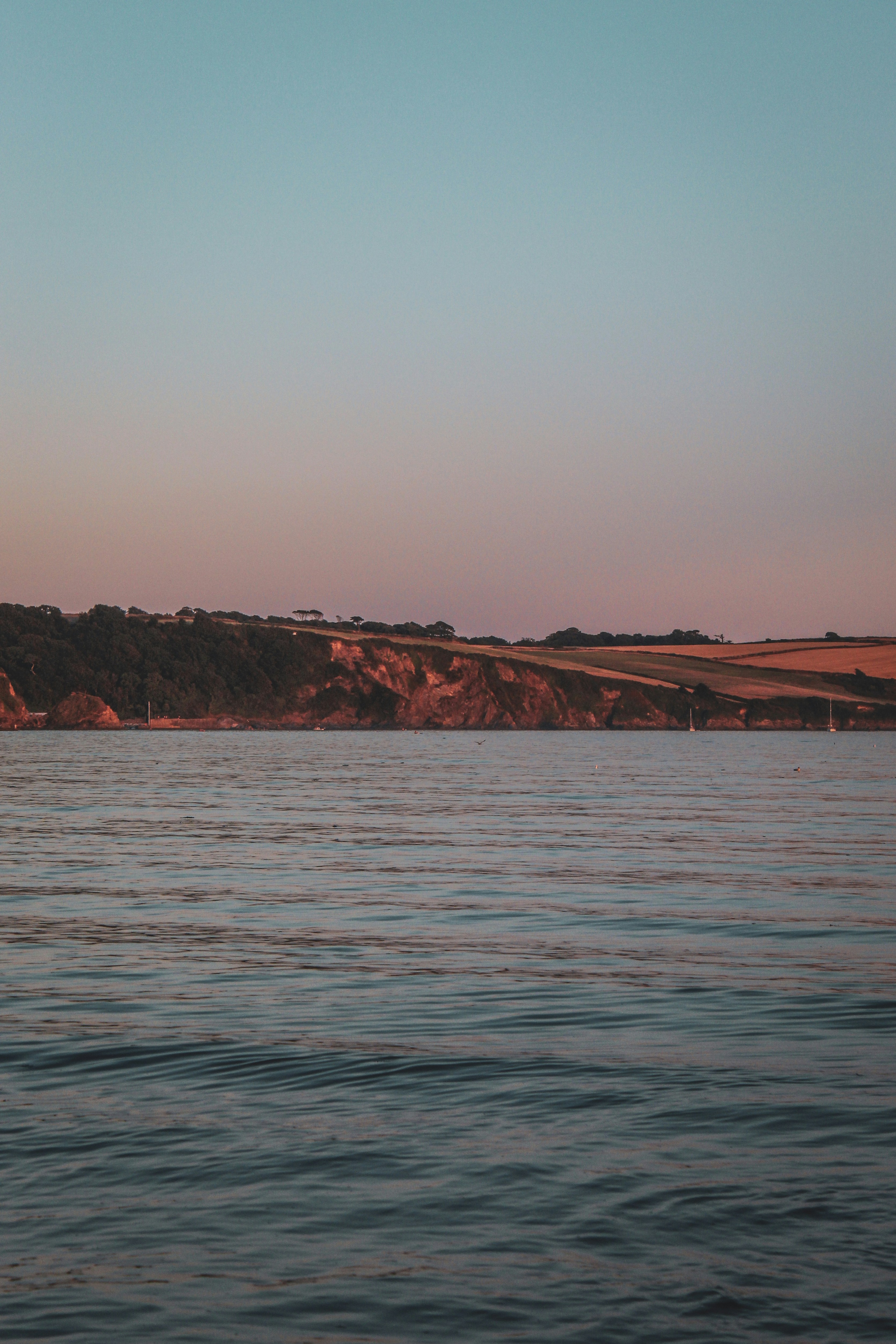 Photo by focalinsight