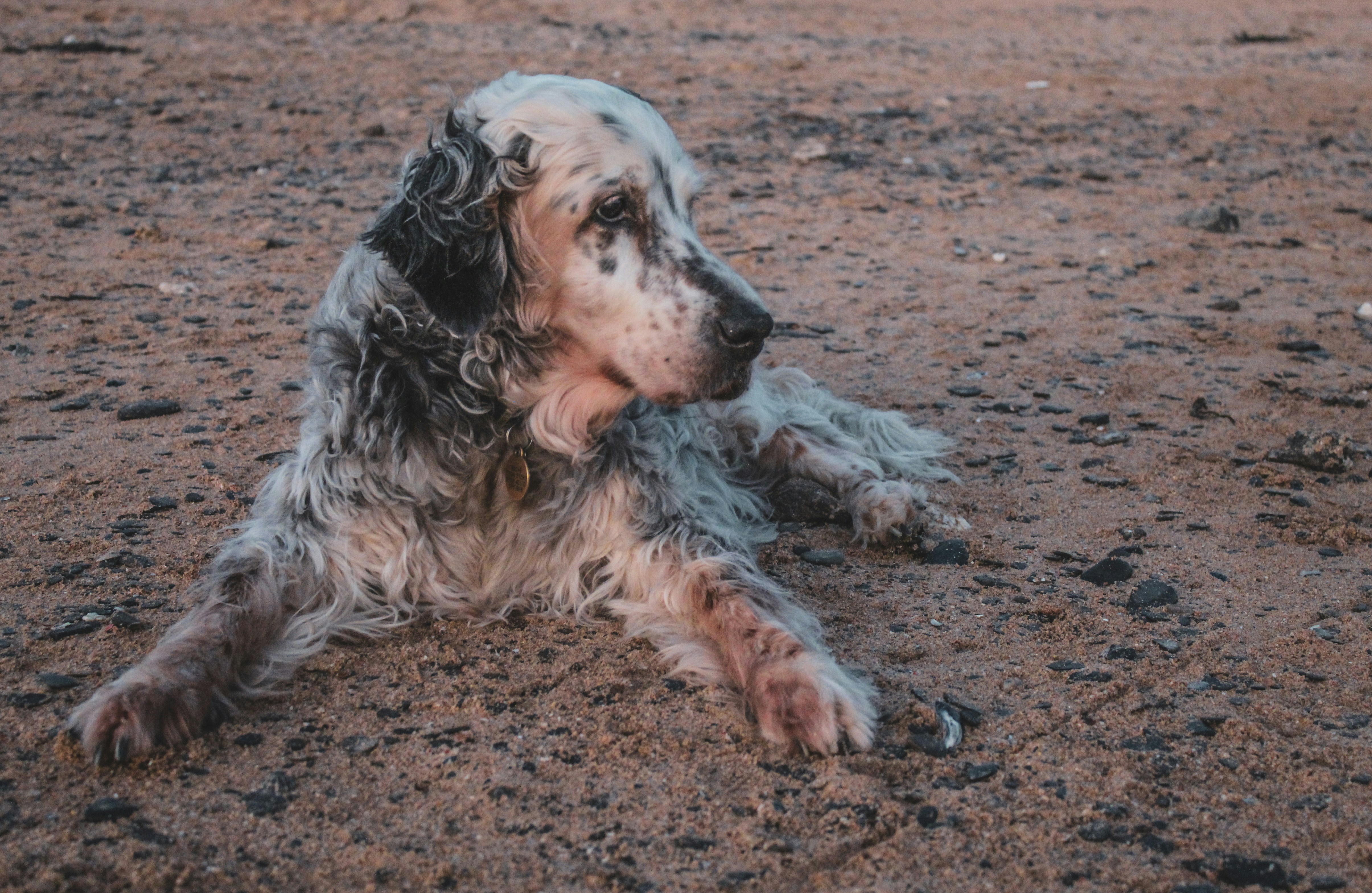 Photo by focalinsight