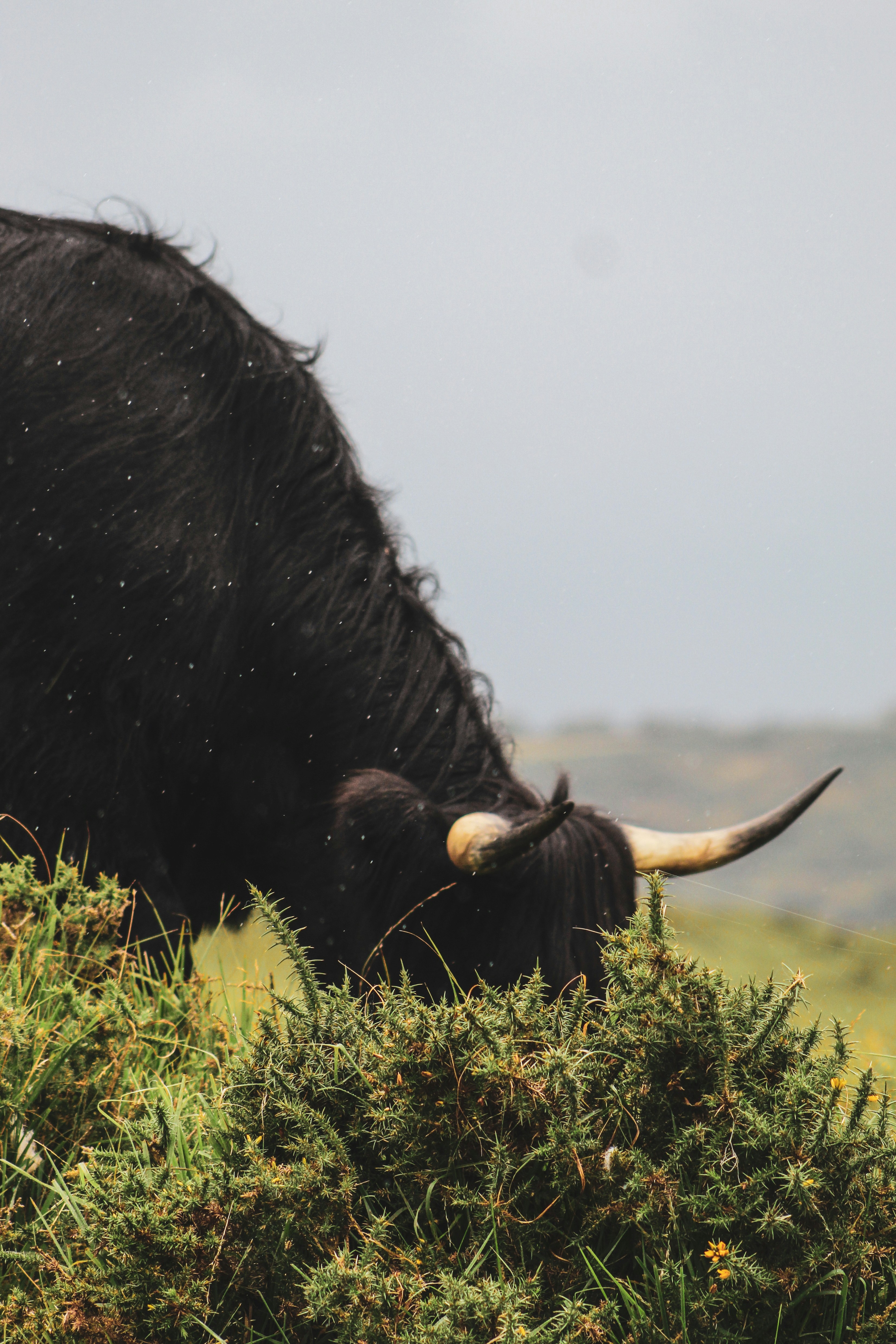 Photo by focalinsight