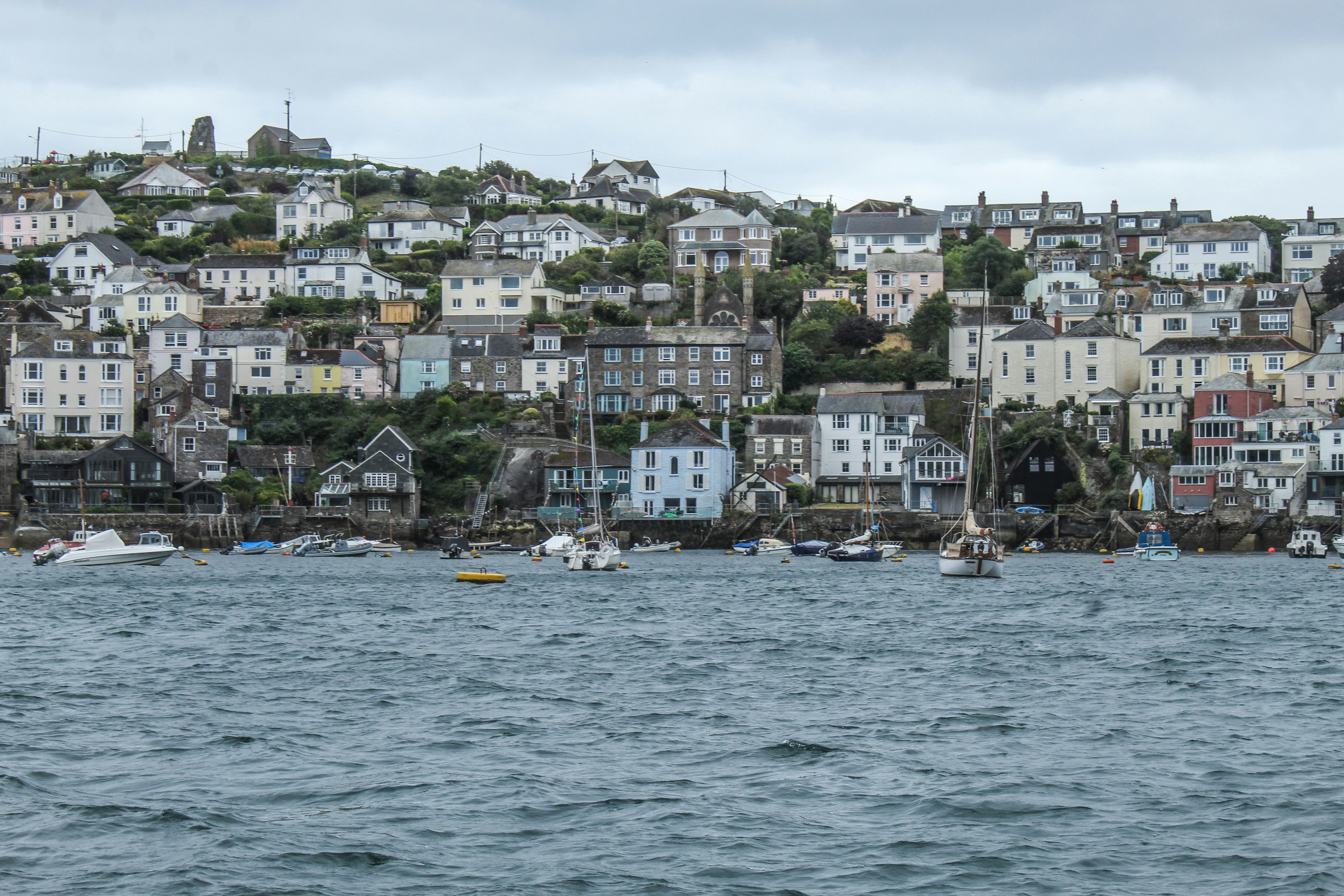 Photo by focalinsight