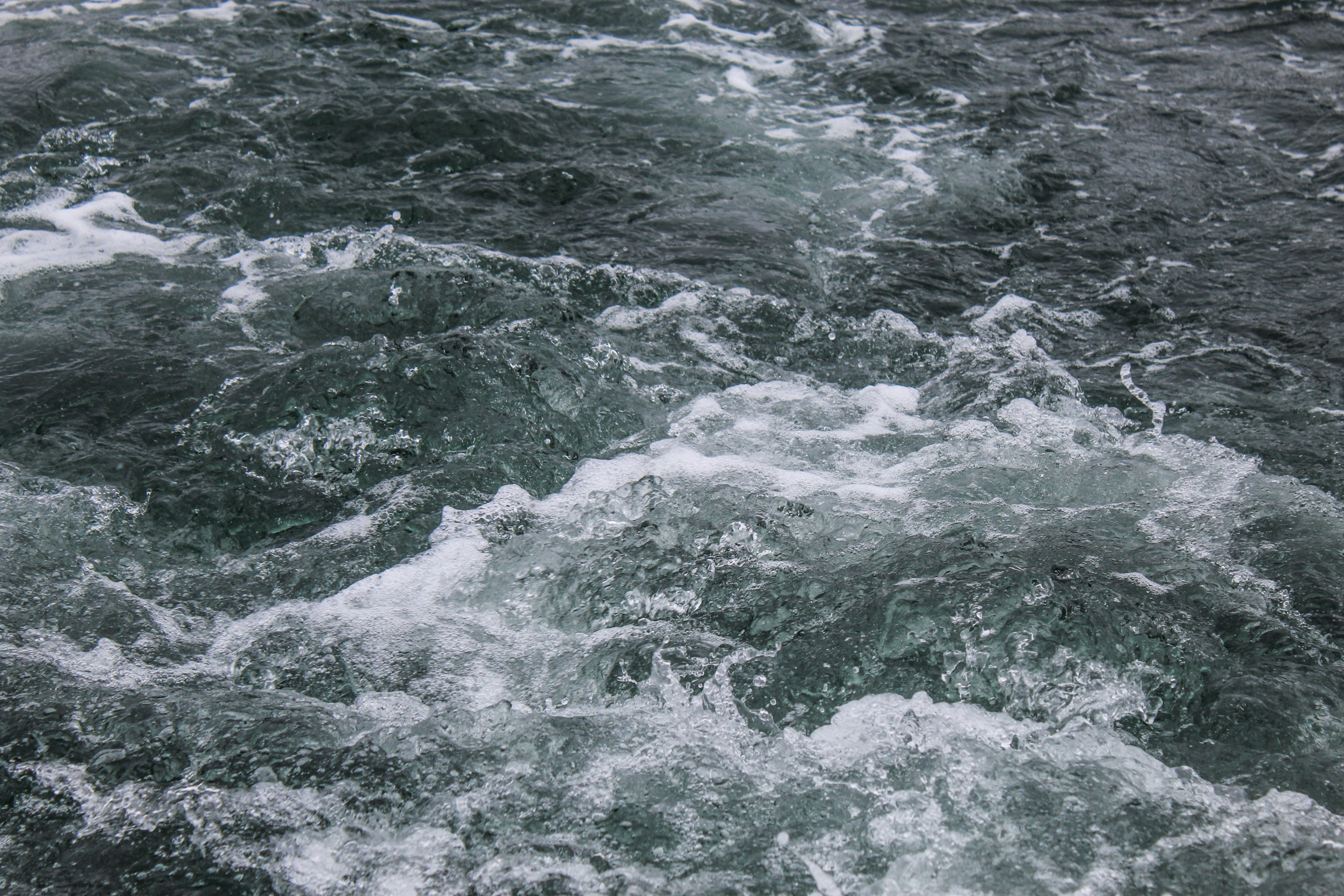 Photo by focalinsight