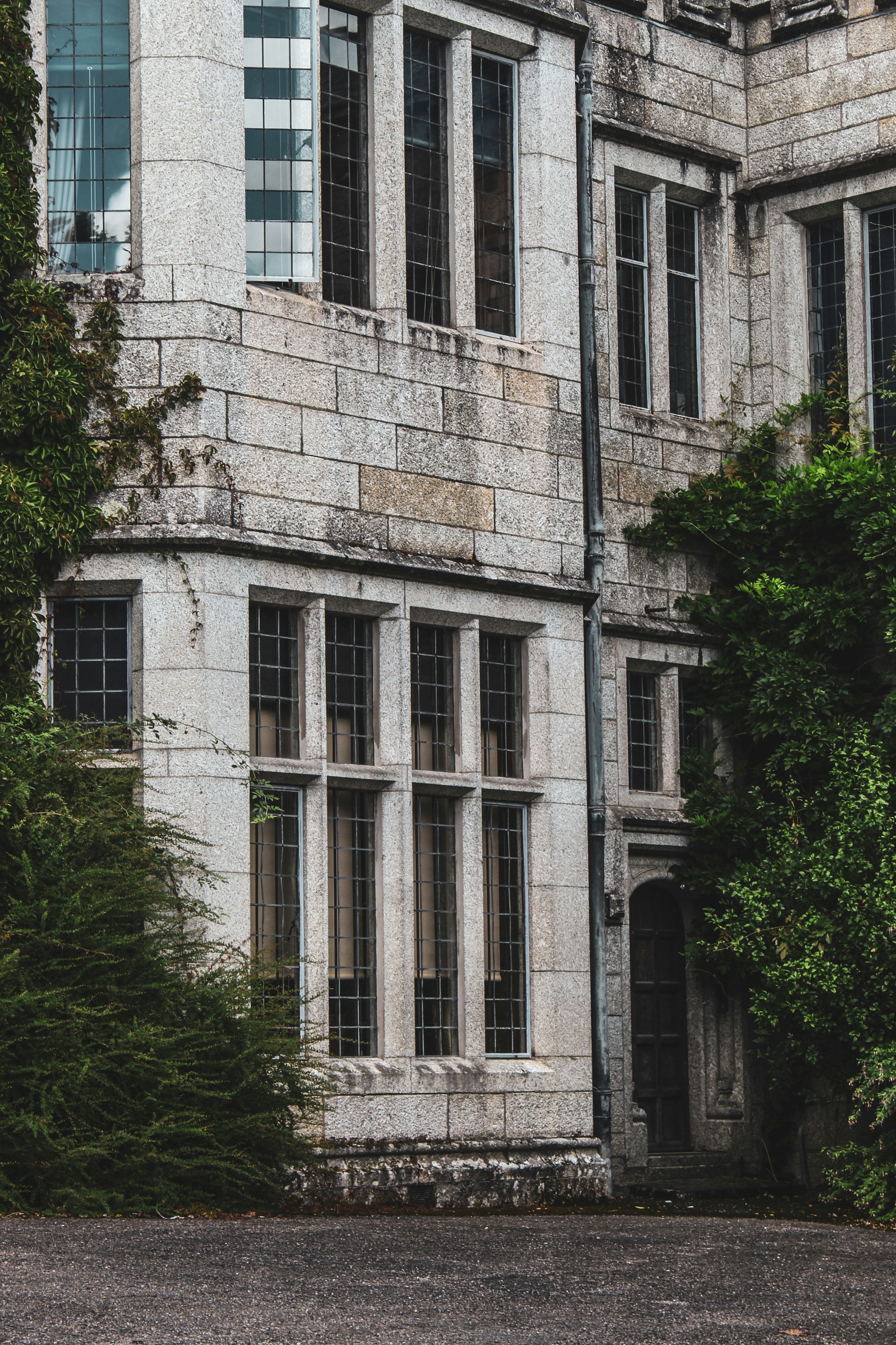 Photo by focalinsight