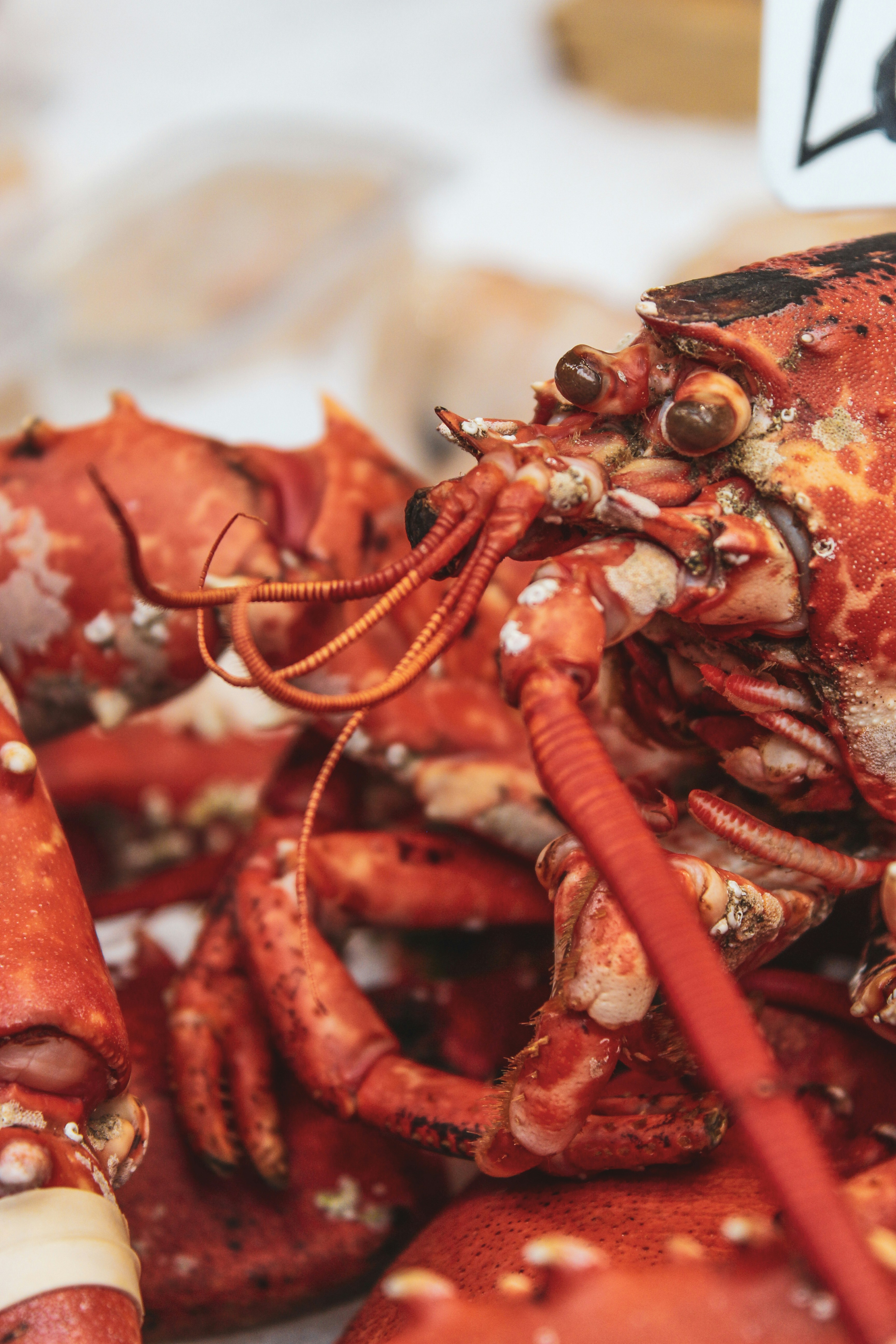 Photo by focalinsight