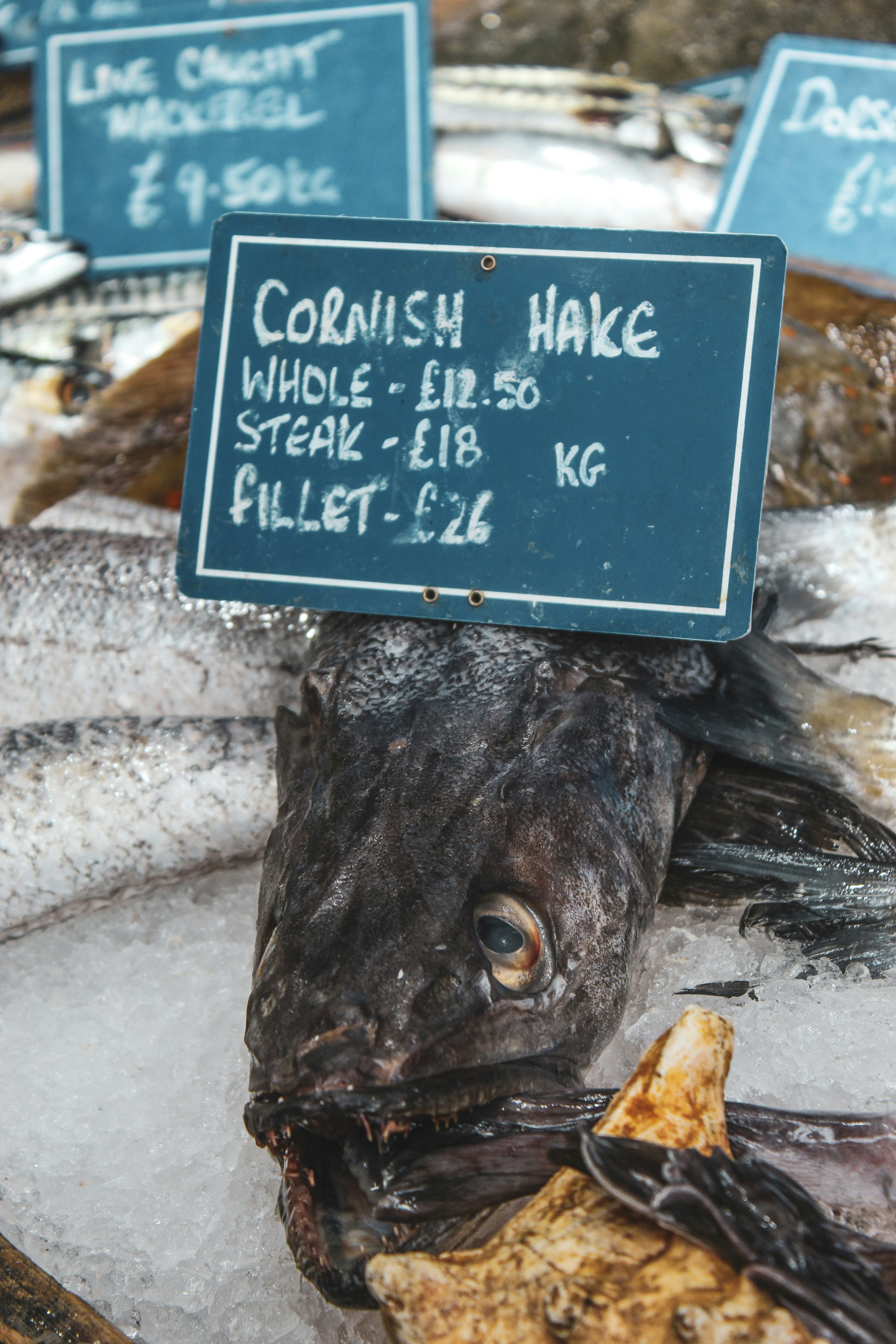 Premium Fresh Halal Meat Selection