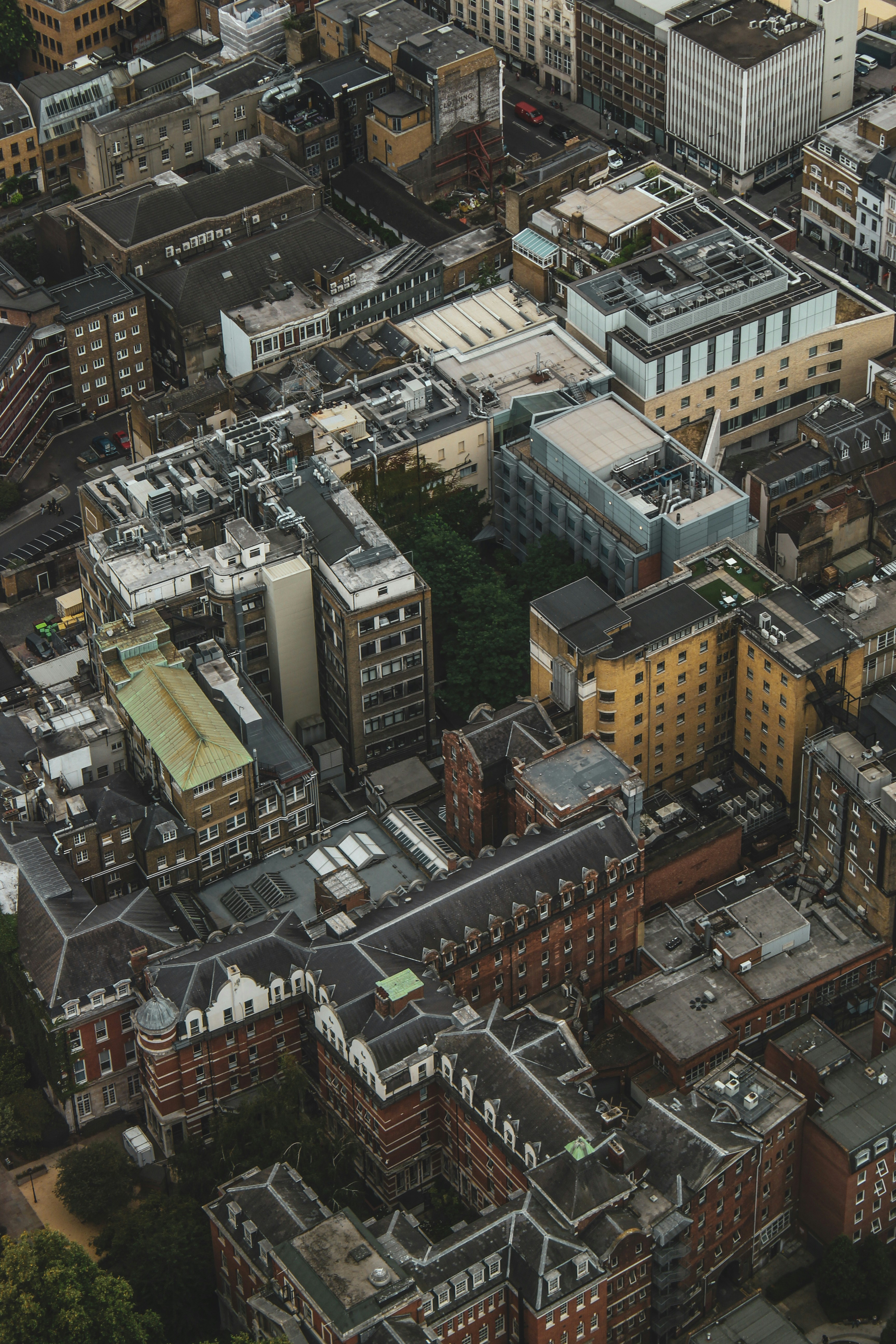 Photo by focalinsight