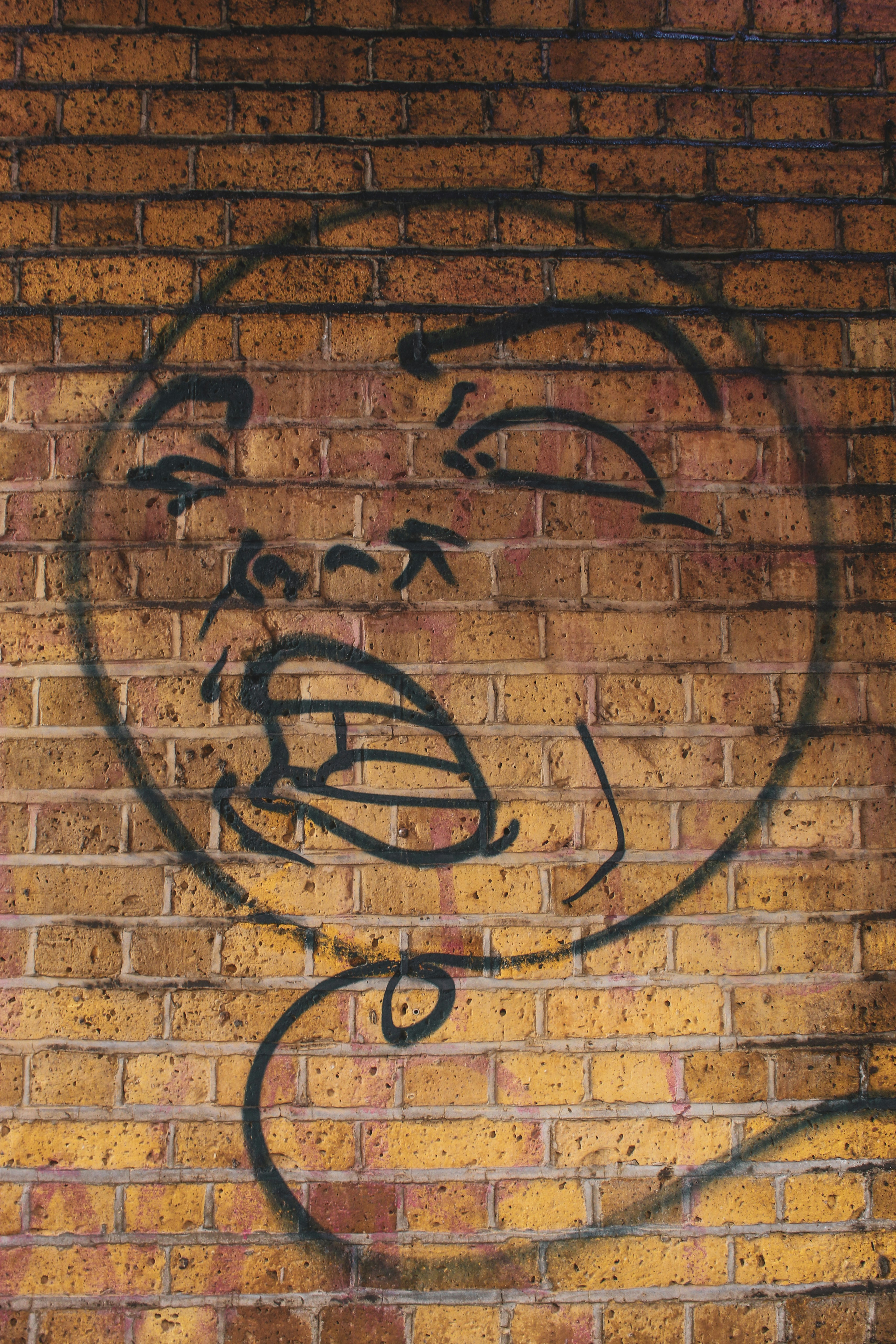 Photo by focalinsight