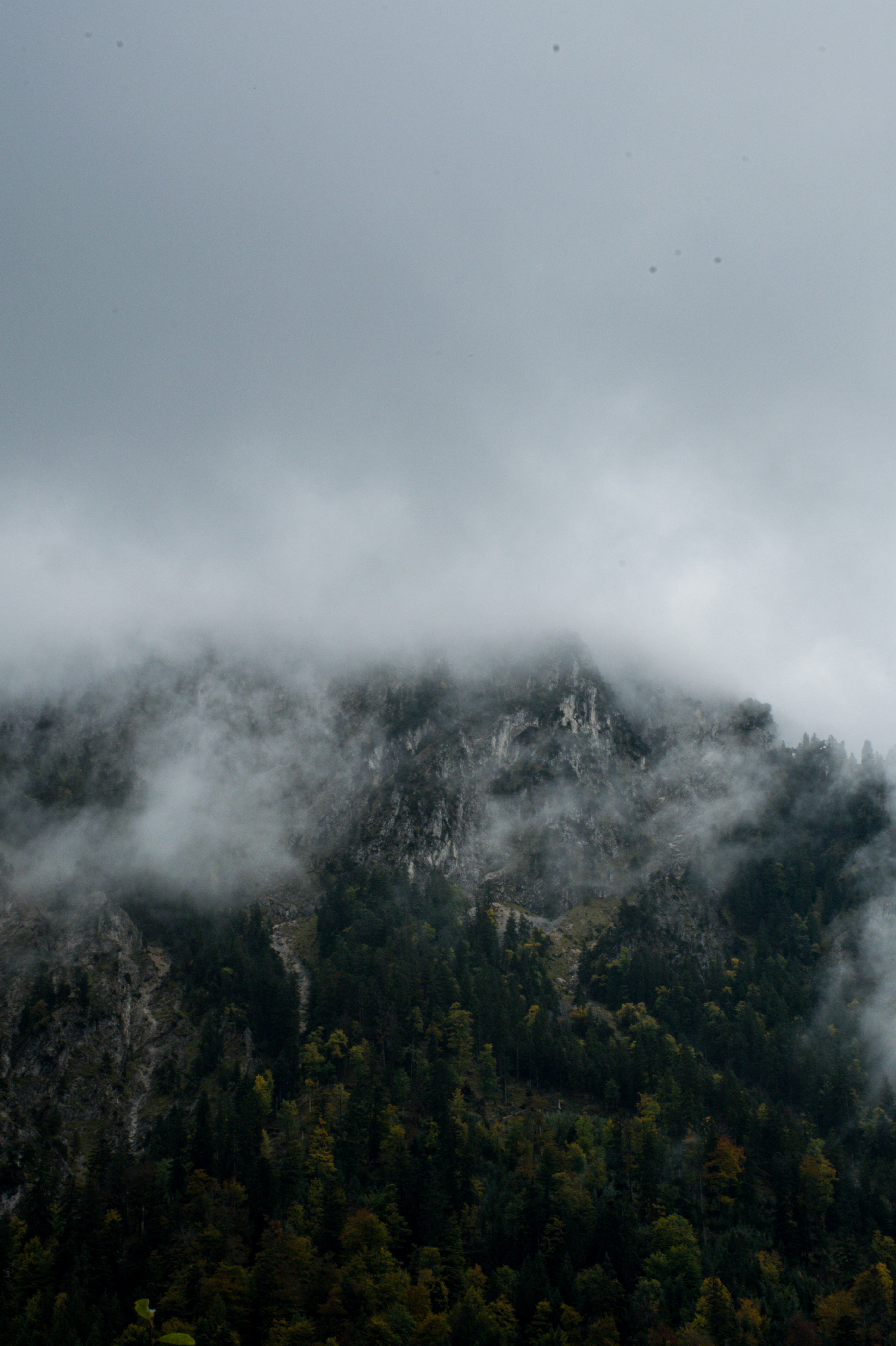 Photo by car_media_group_bg