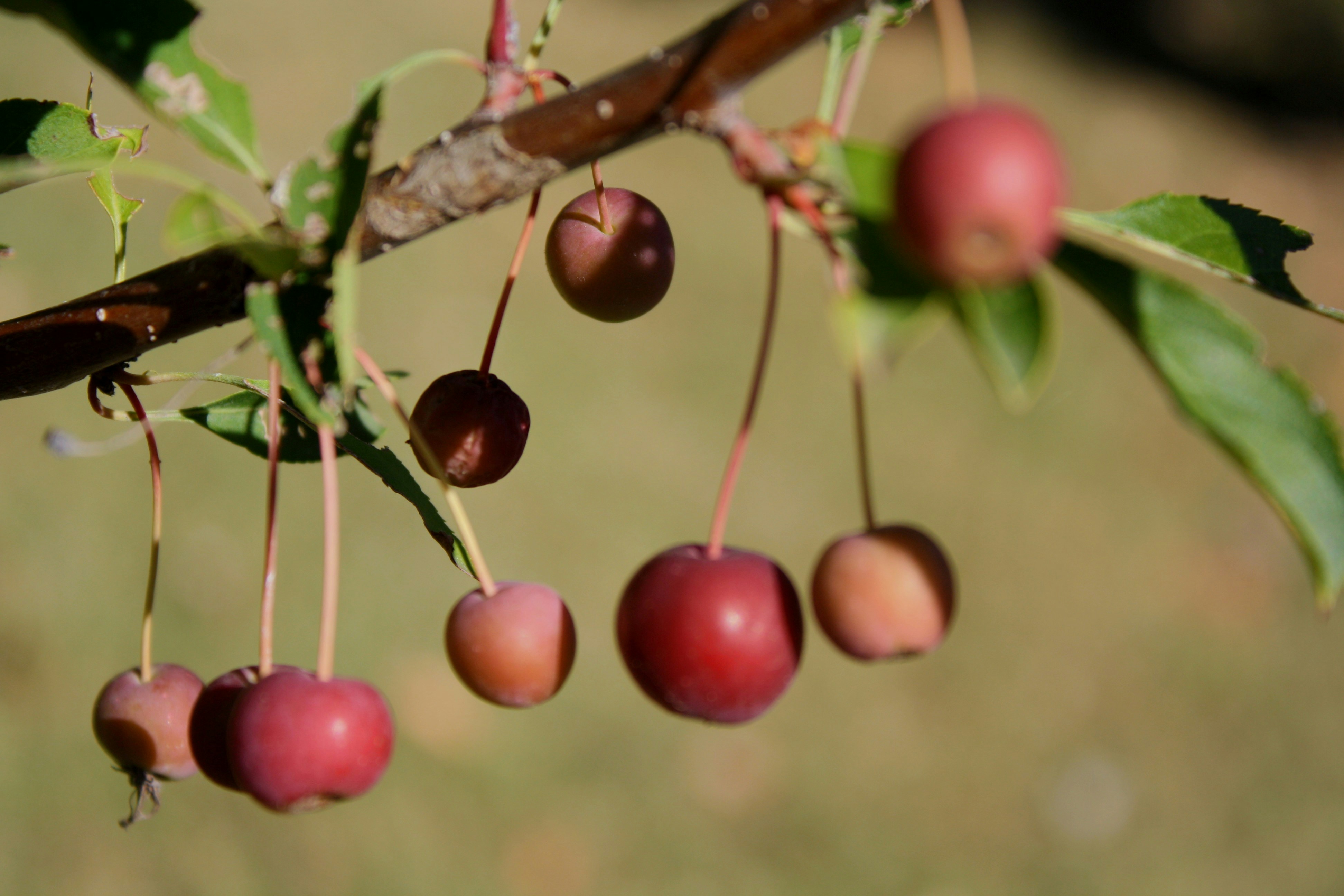 Photo by 1photos_by_e1