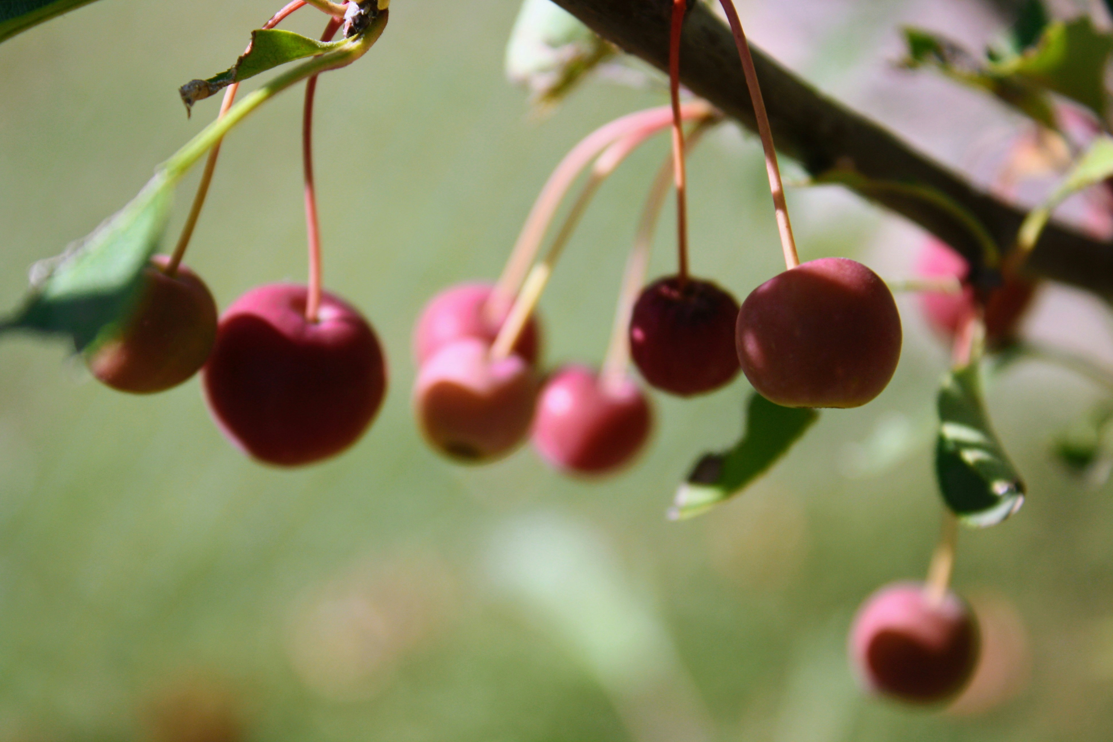 Photo by 1photos_by_e1