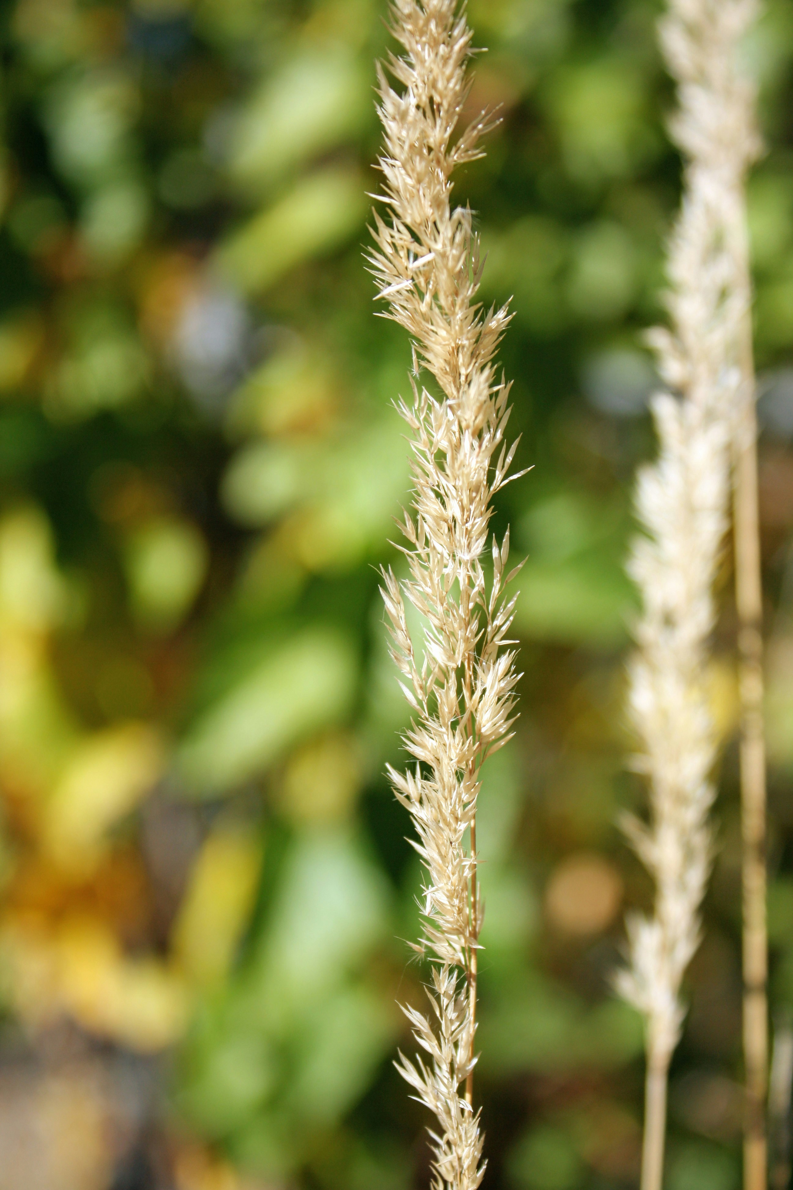 Photo by 1photos_by_e1