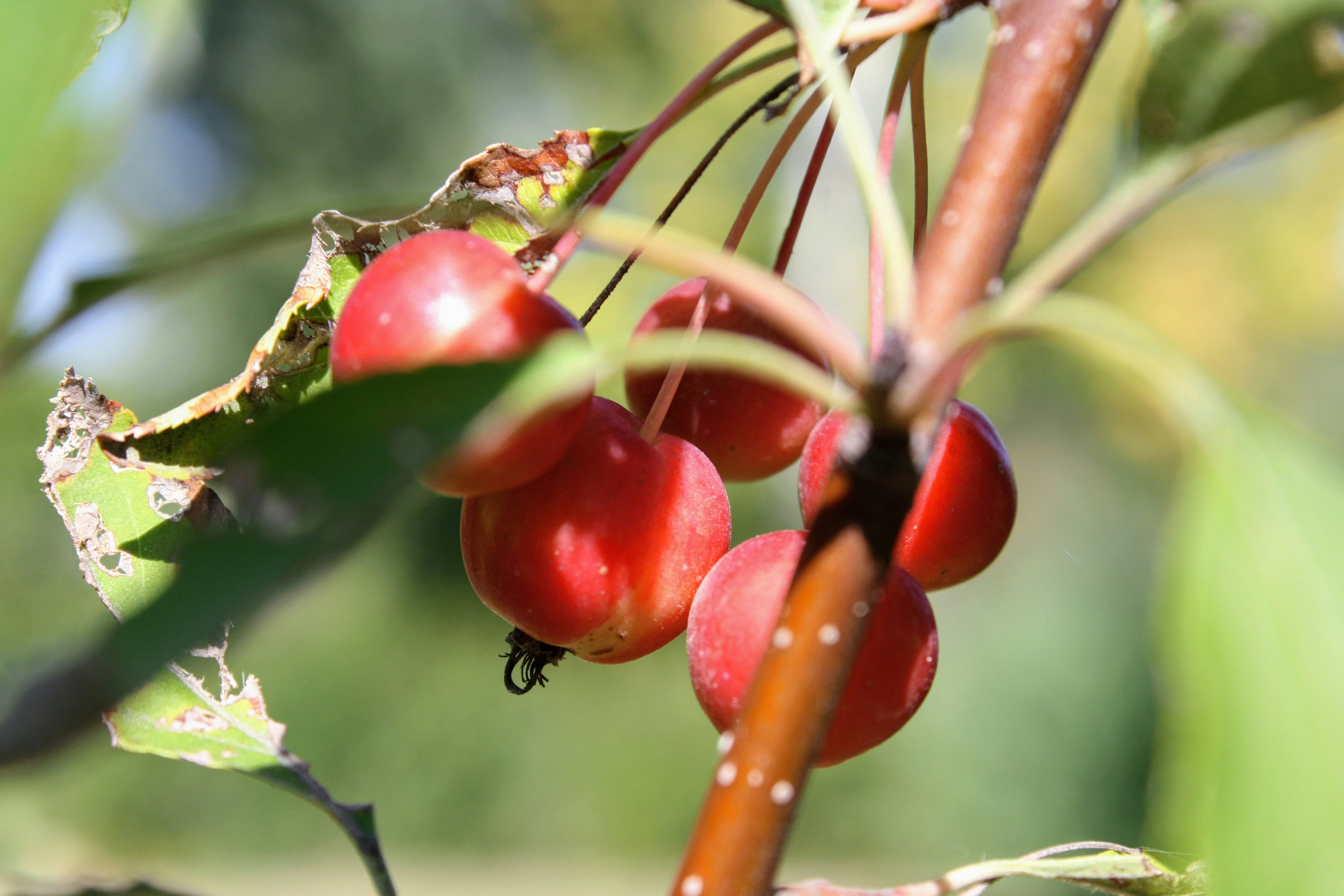 Photo by 1photos_by_e1