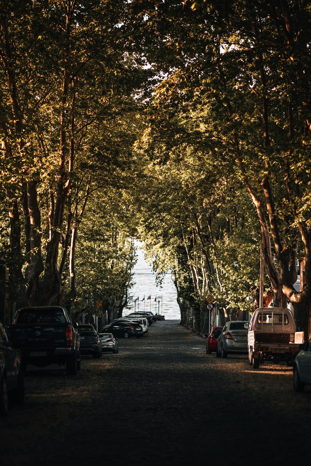 a road with cars and trees on either side of it