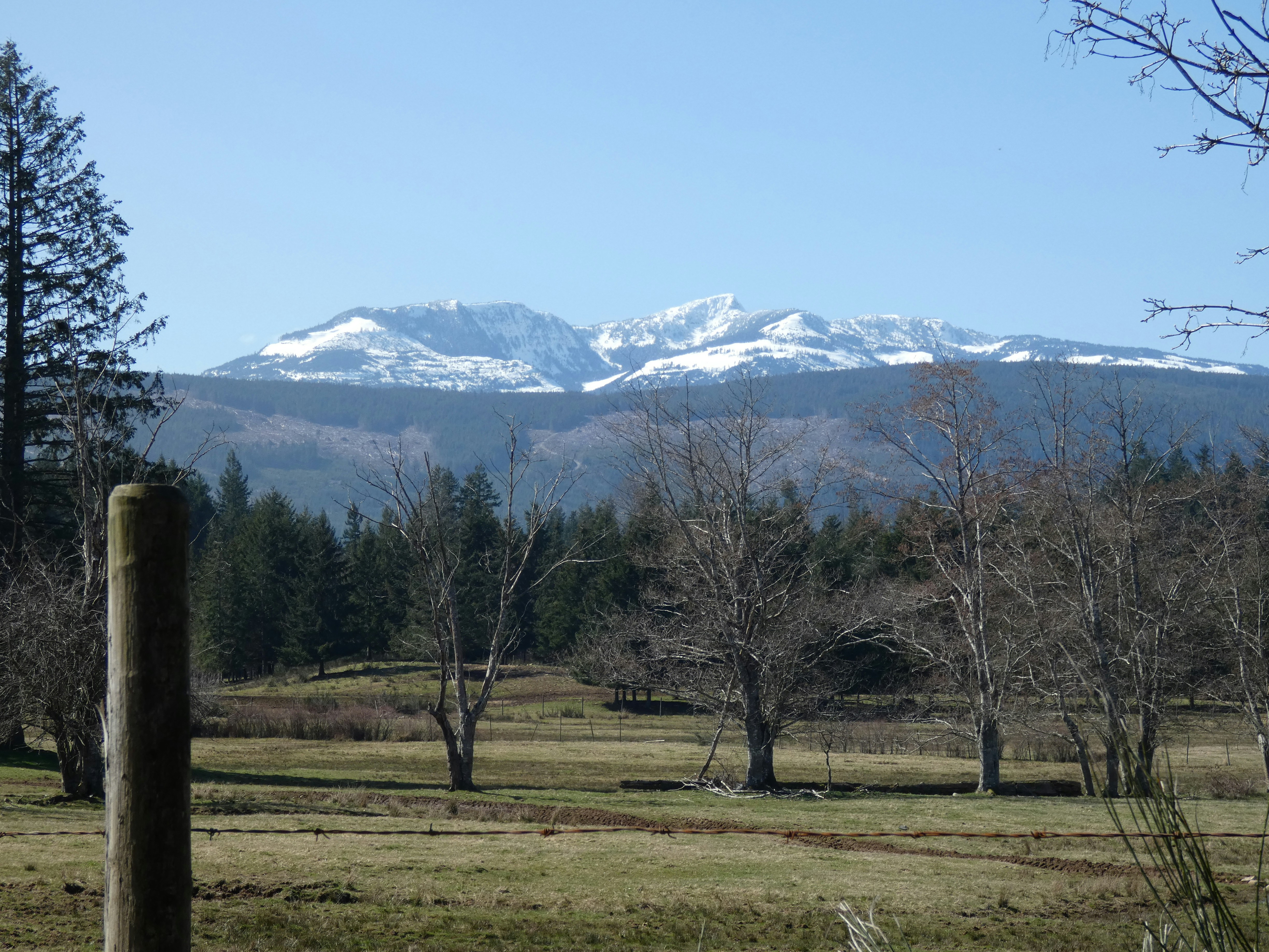 Stop image for Desert Escape: 3 Days from Las Vegas to Red Rock Canyon - a field with trees and mountains in the background -  in Southwestern Nevada - Photo by Joan Gammie on Unsplash