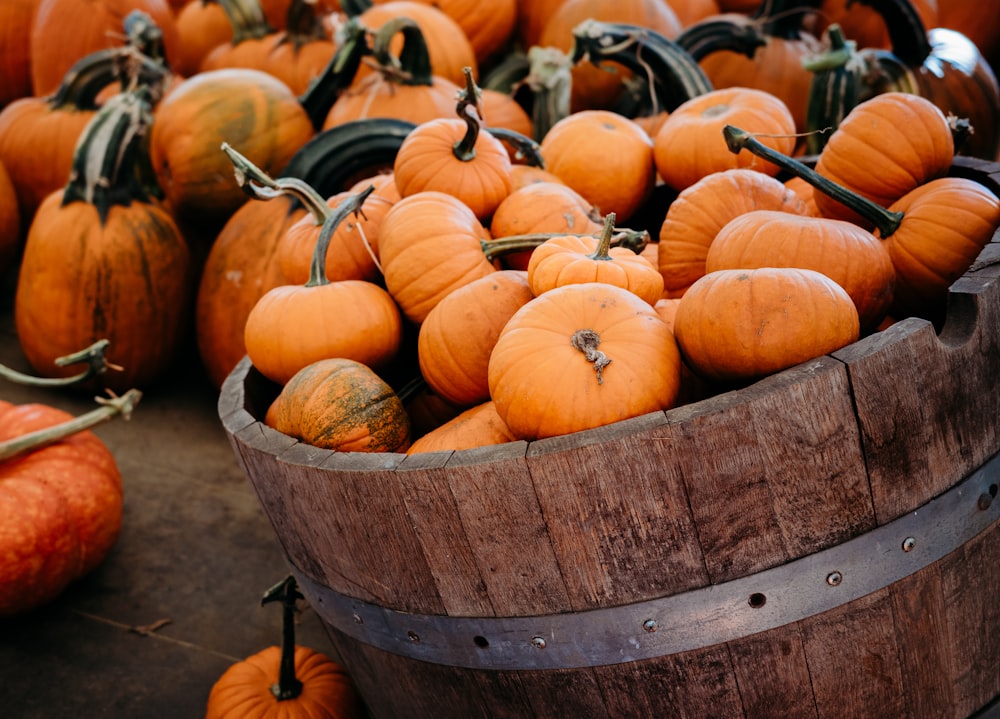 a group of pumpkins in a basket