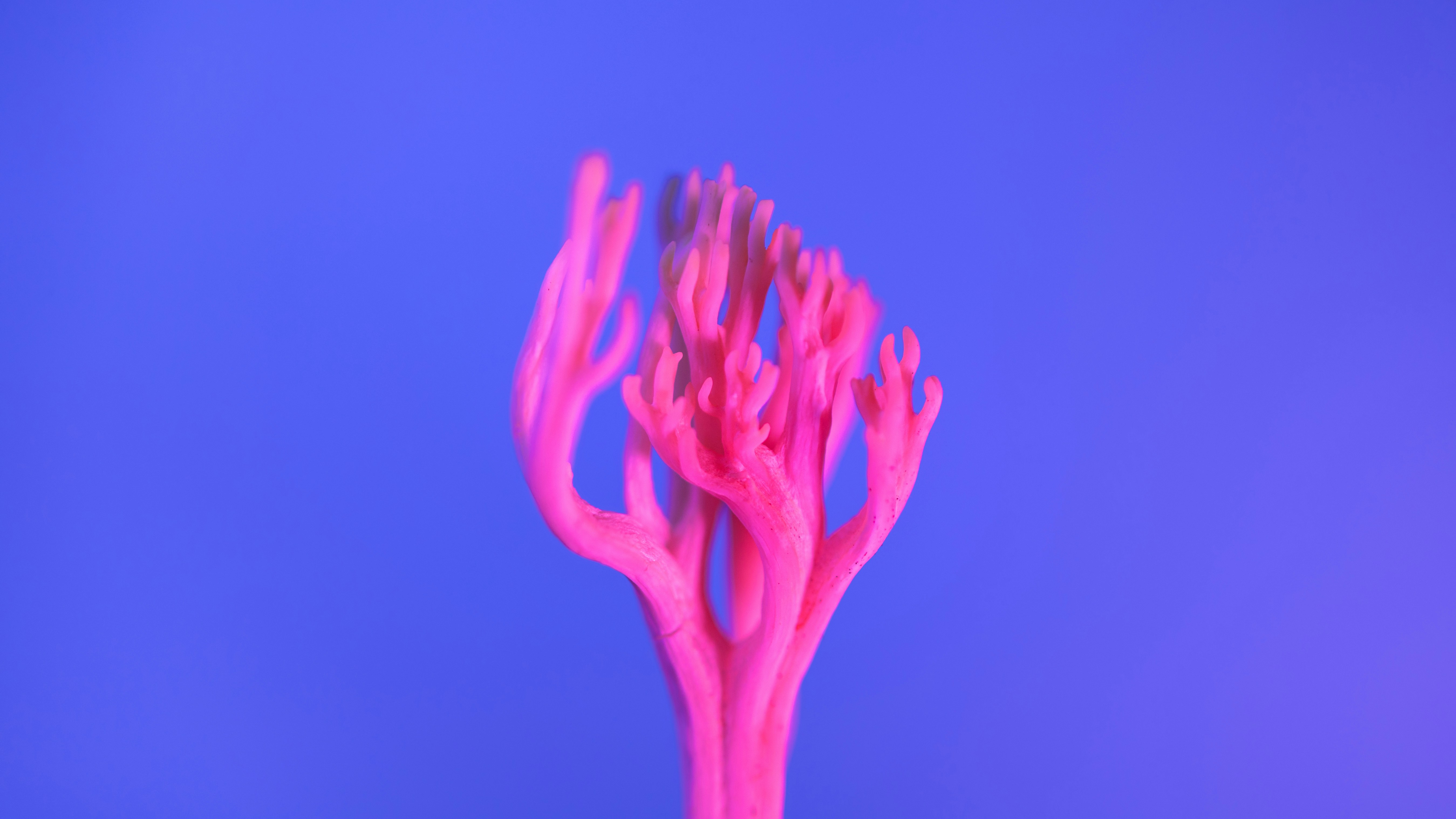 Photo by marekpiwnicki