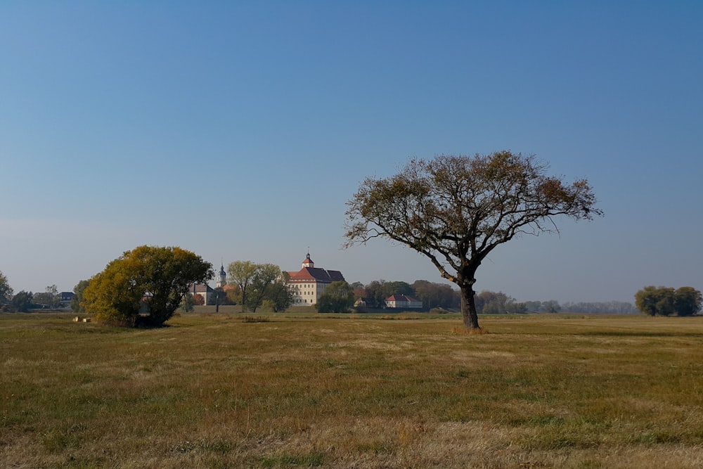 a large field with trees and a building in the background