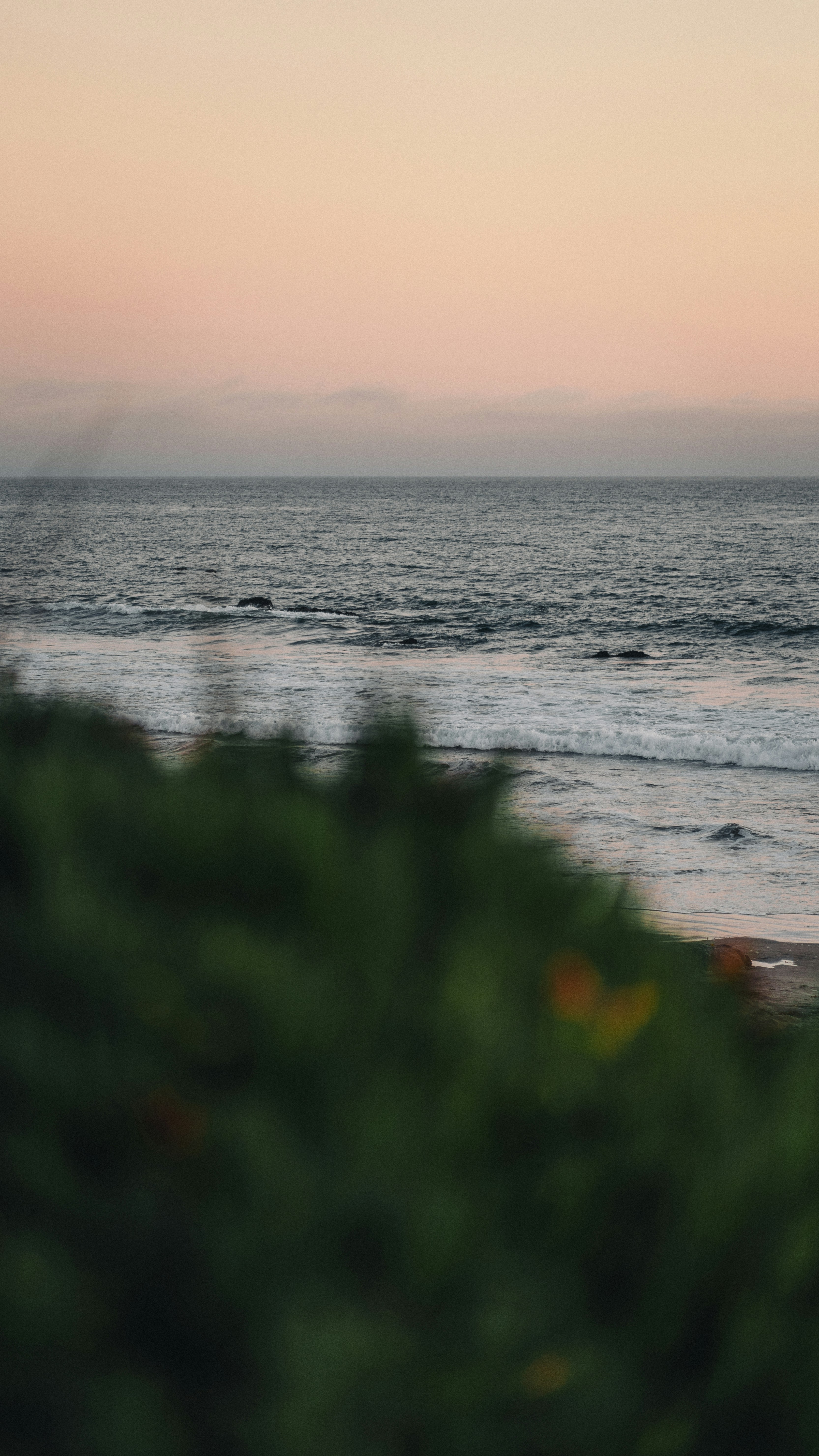 Photo by kalaniparker