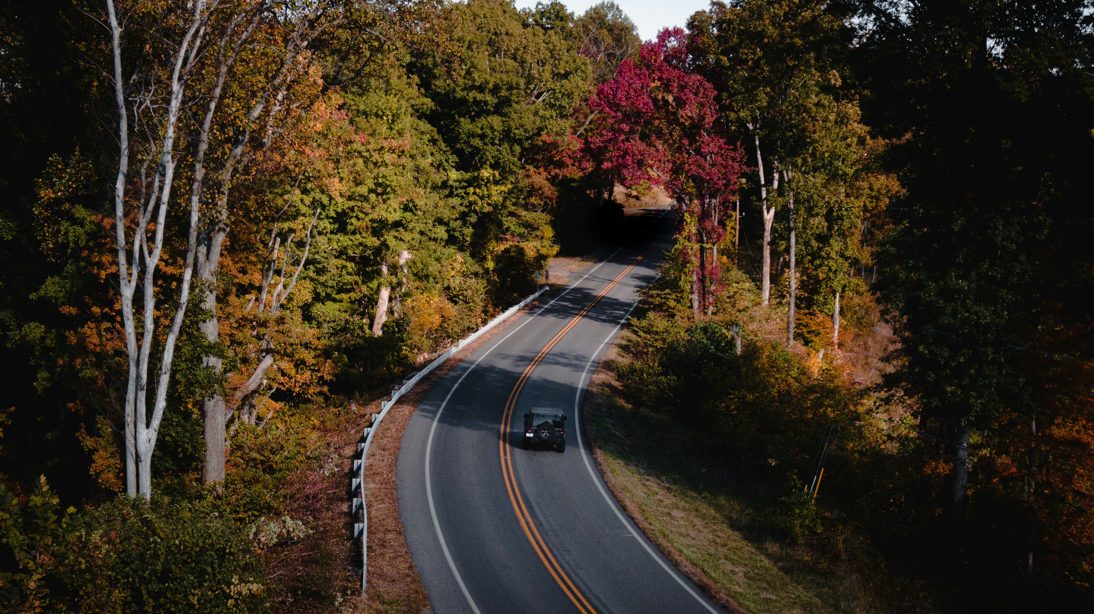 Photo by collinmerkel1