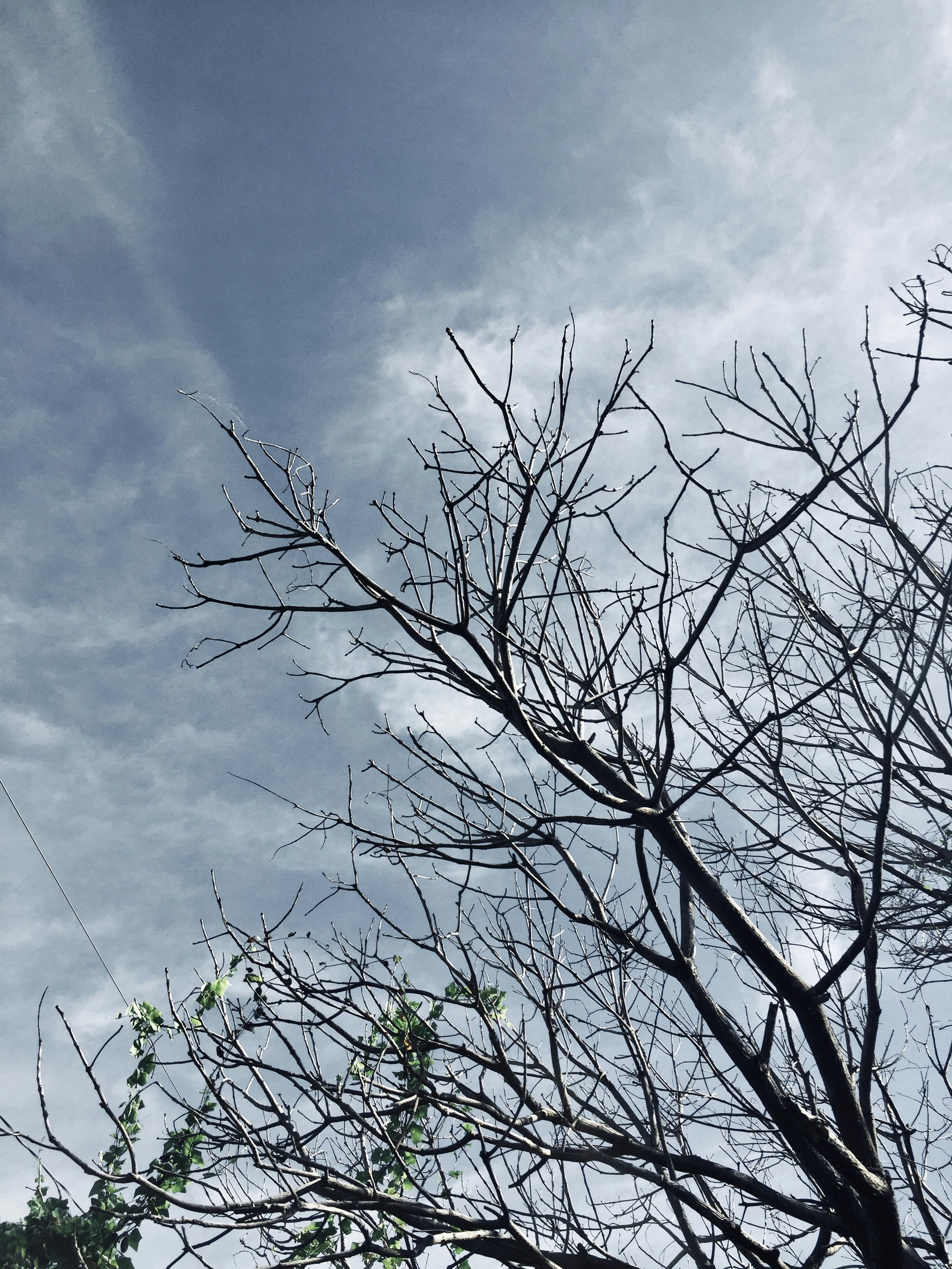 Photo by aljhonumlas