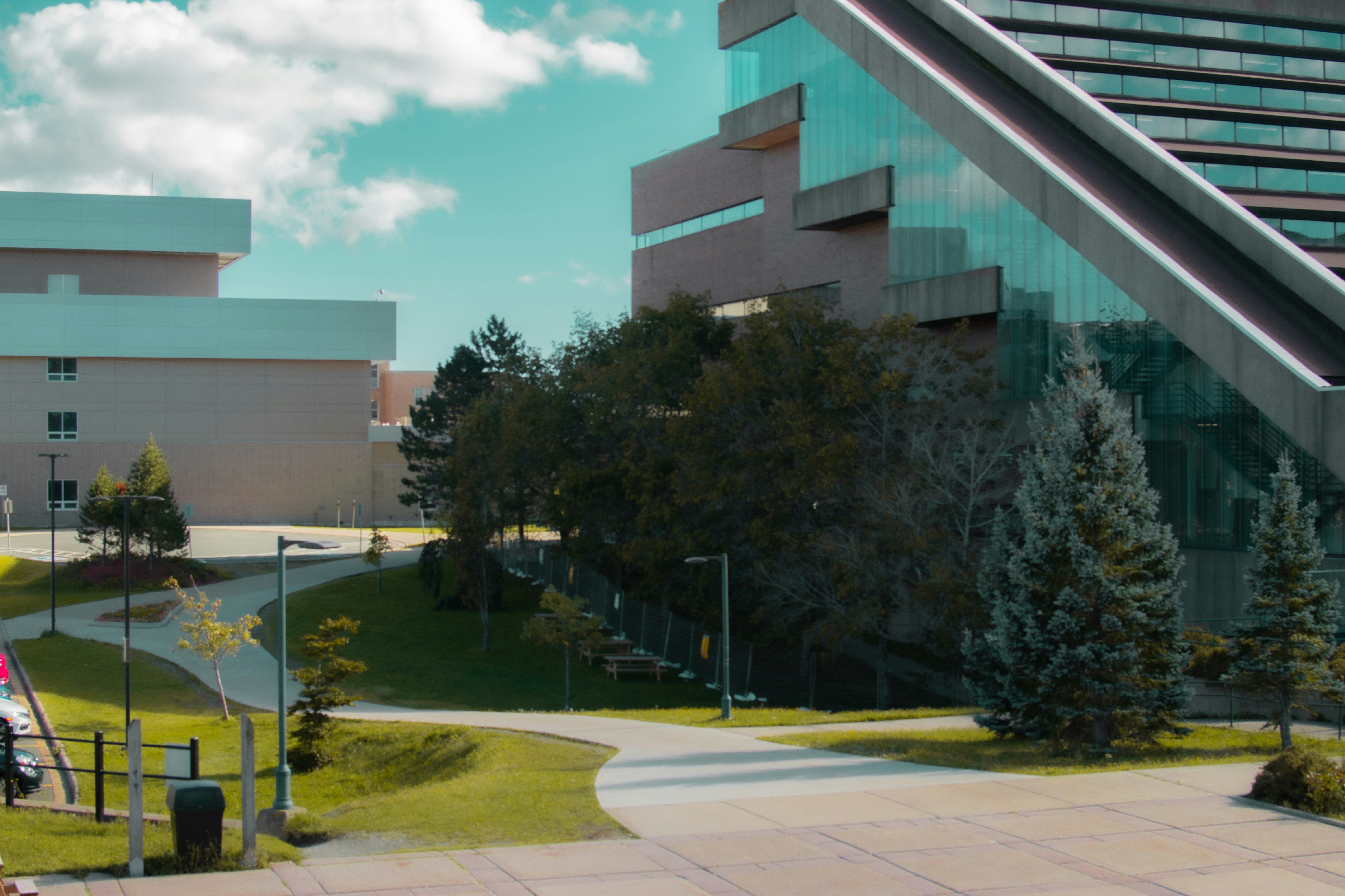 Photo by trevorbvochora