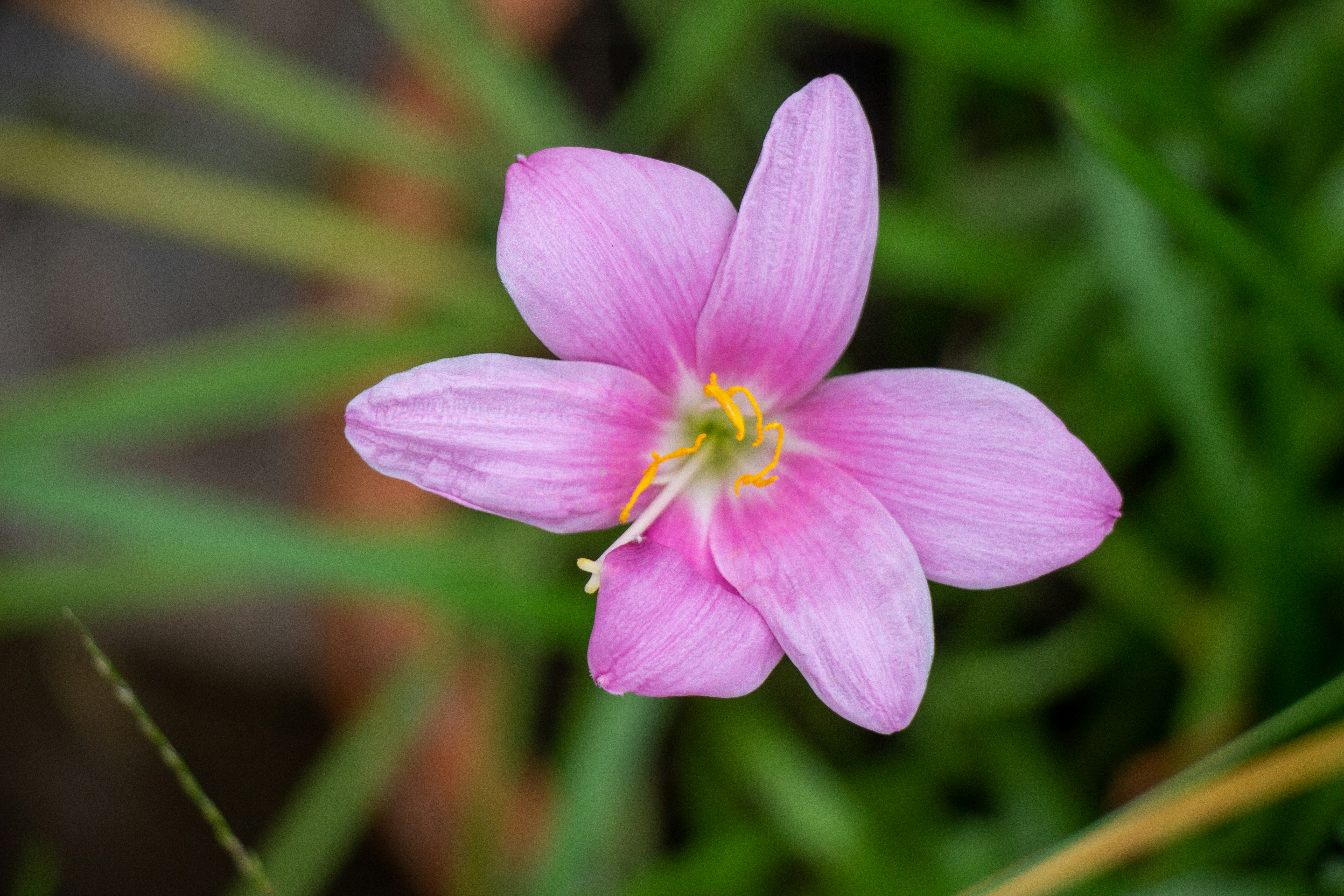 Photo by shreyaantech