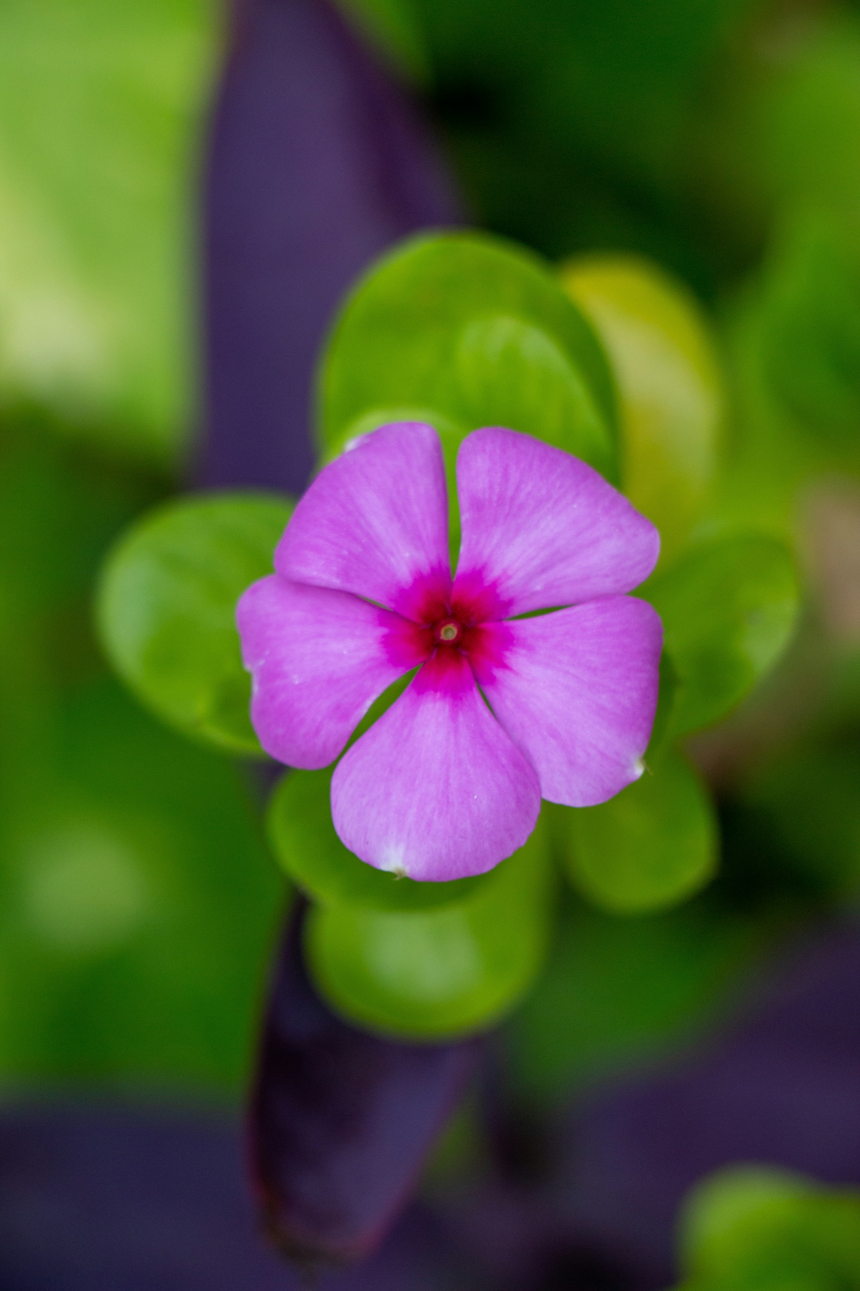 Photo by shreyaantech