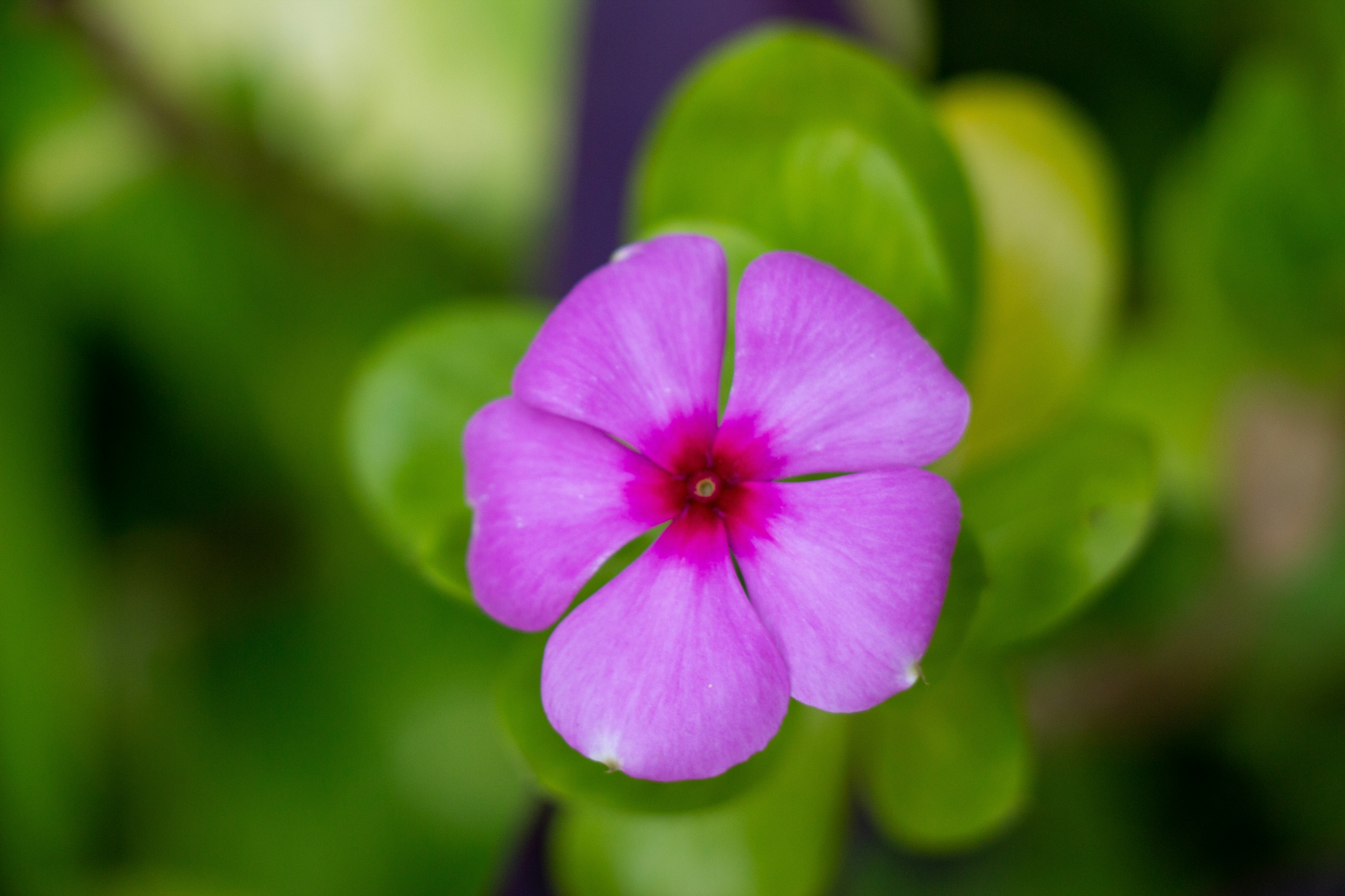 Photo by shreyaantech